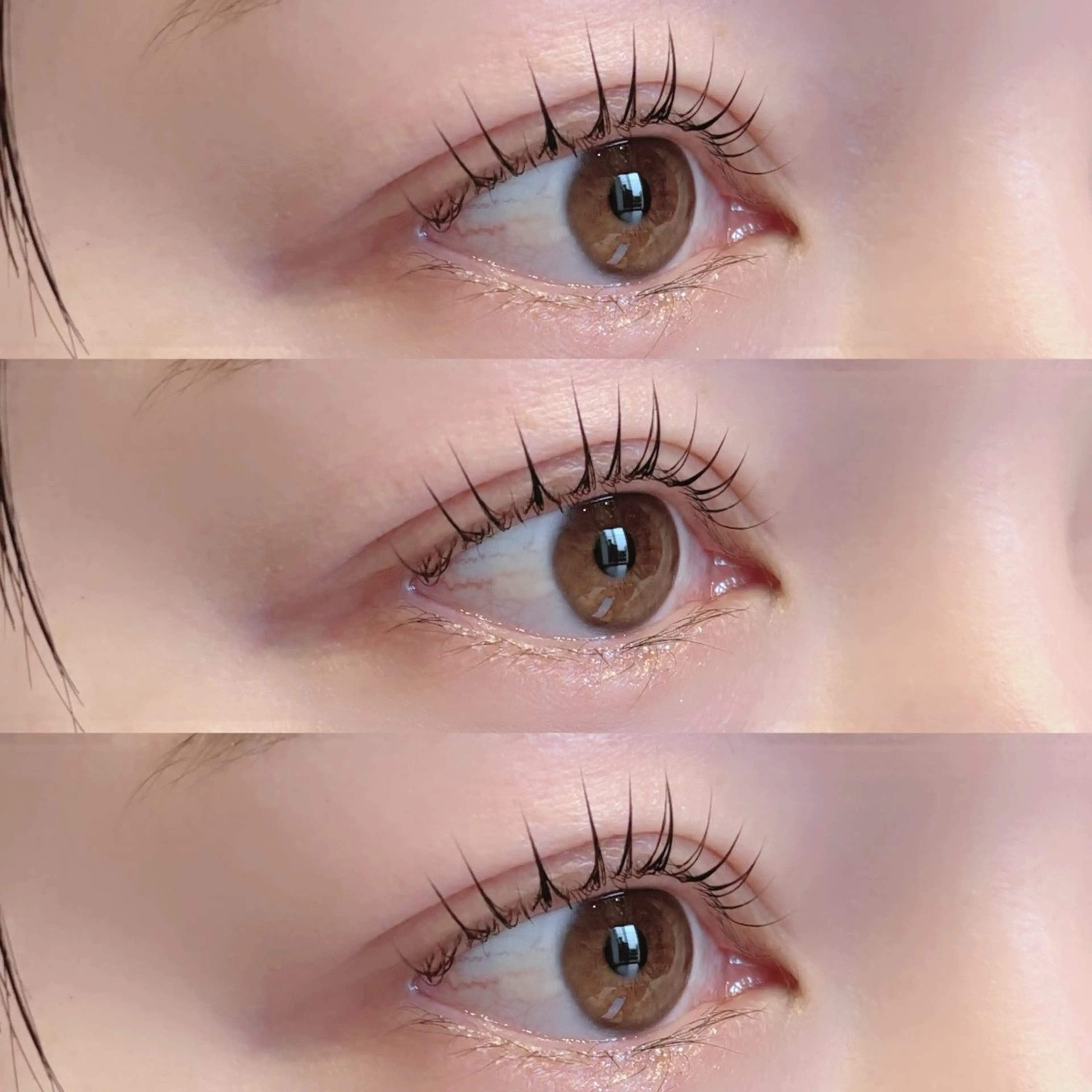 🌸パリジェンヌラッシュリフト🌸ケアトリートメント+コーティング✨の写真