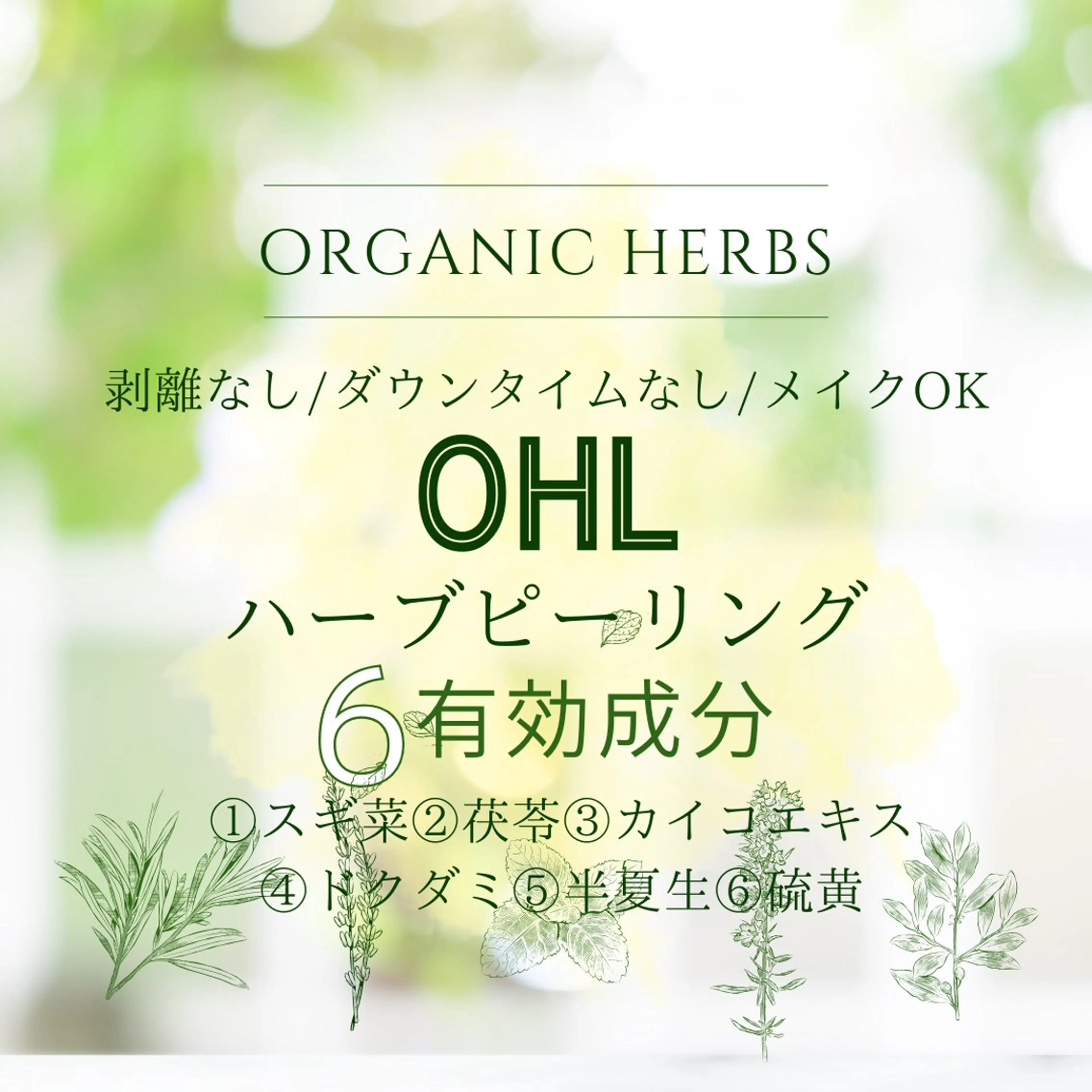 ⚠️ミニモ限定　🌿ボディハーブピーリング🌿の写真