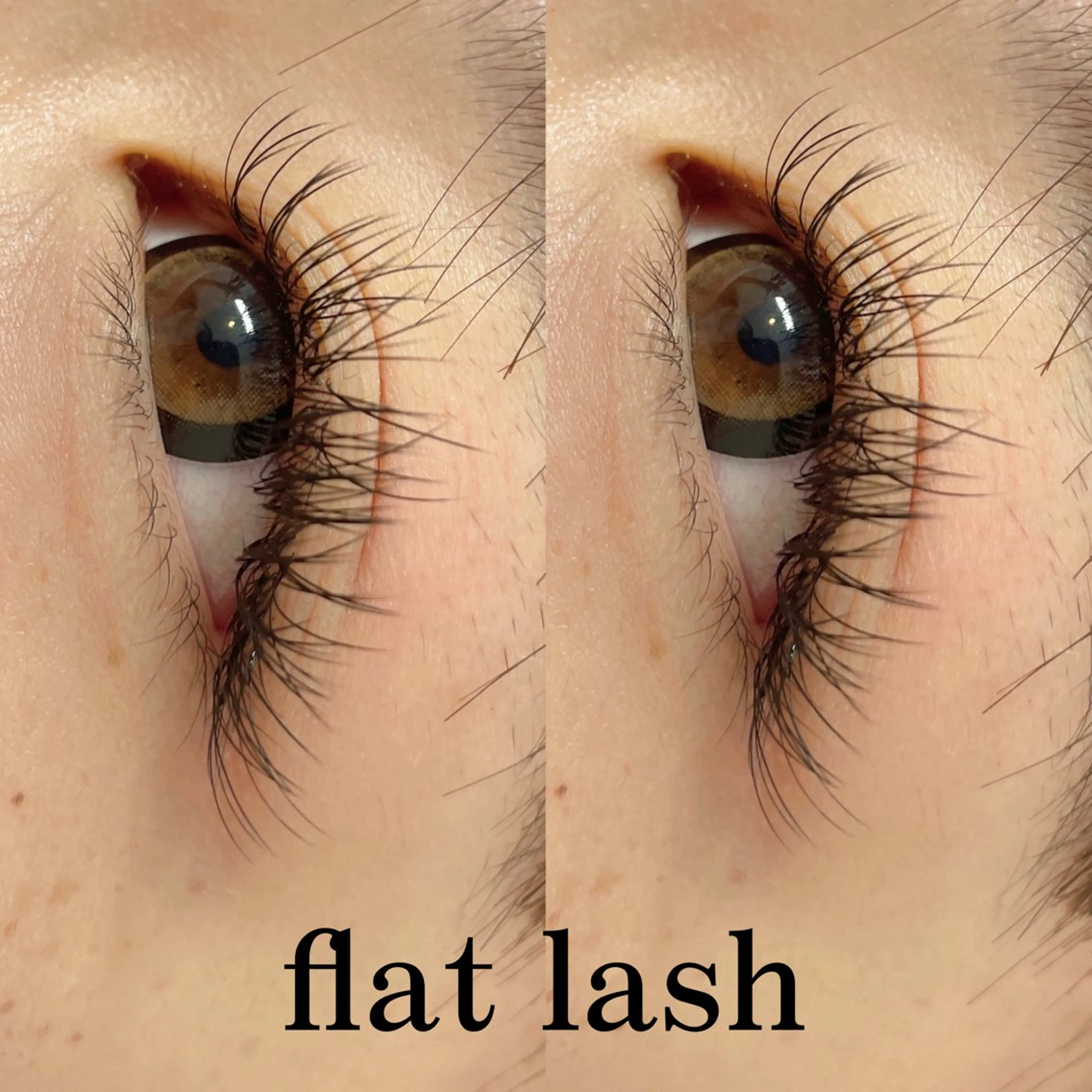 フラットラッシュ付け放題の写真