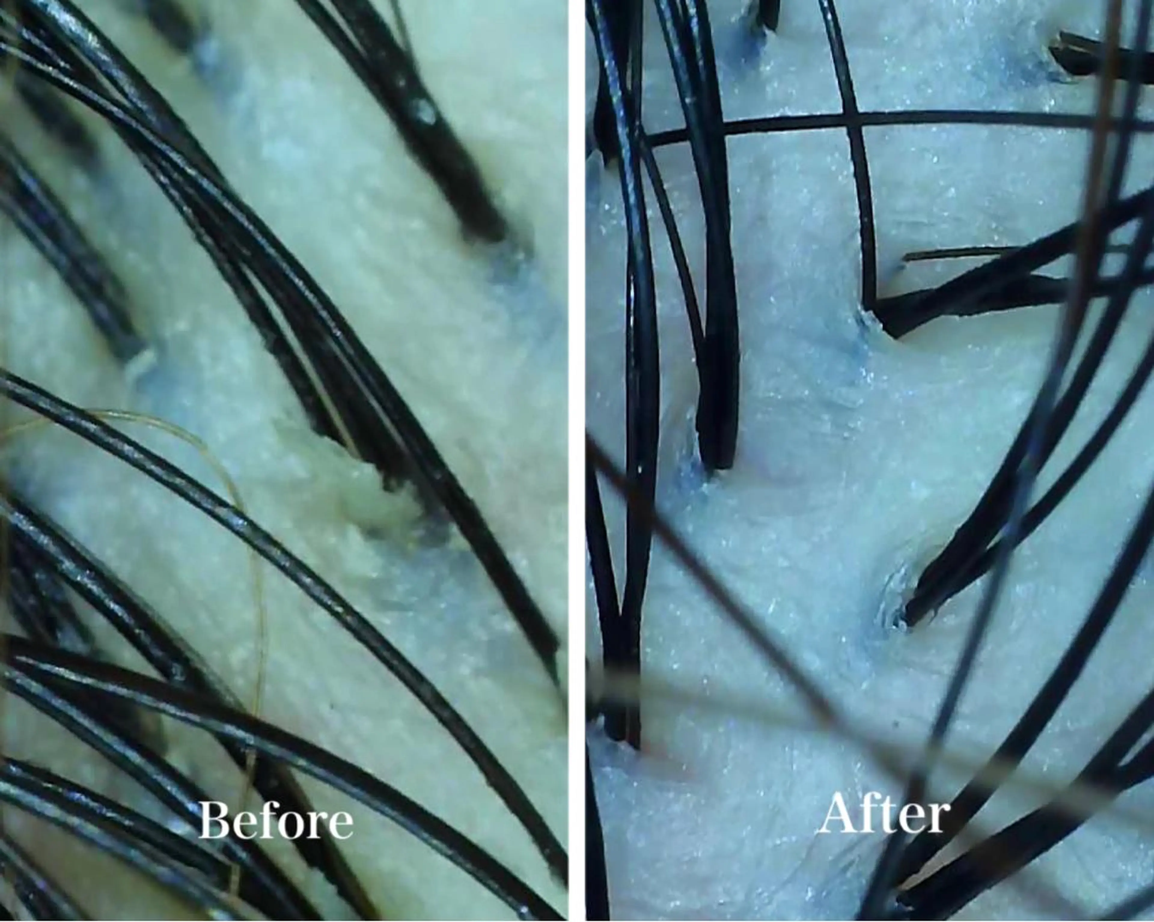 ⭐️吉田萌⭐️ 髪質改善カラー⭐️のヘアスタイル