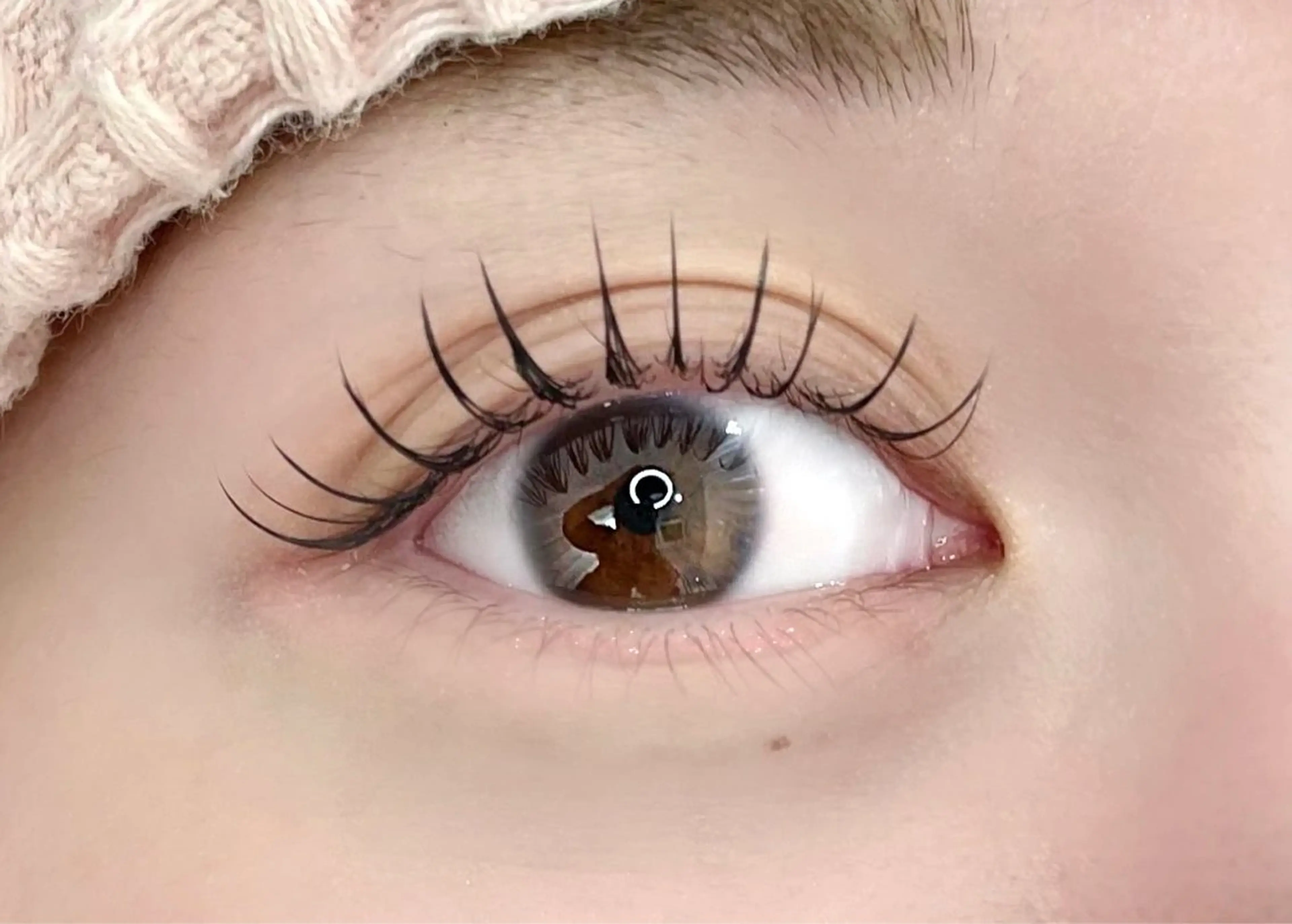 付け足しのみ フラットラッシュ40-50本の写真