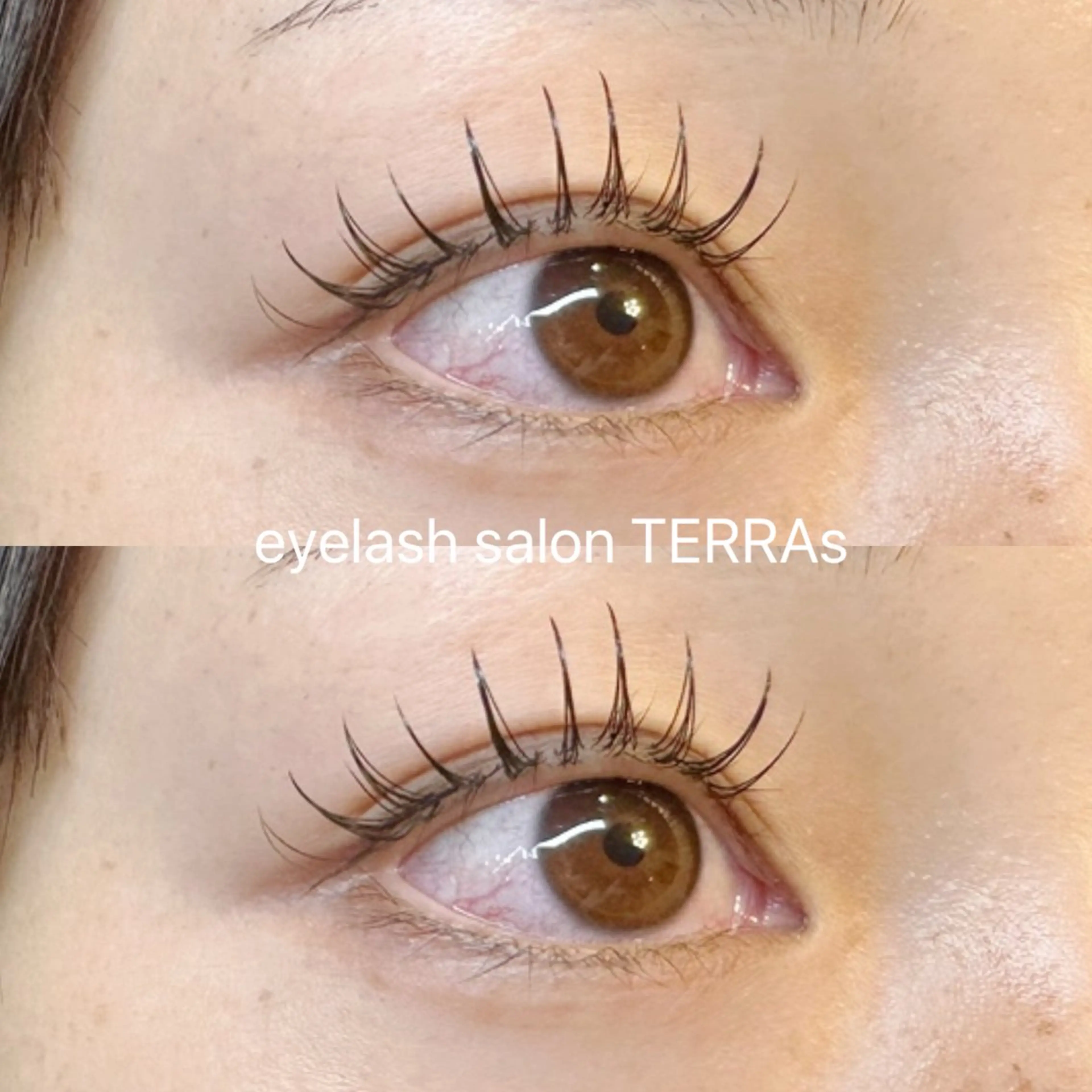 マツエク・マツパ Dカール フラットラッシュ TERRAs 蕨 / hitomi🐰のマツエク・マツパデザイン