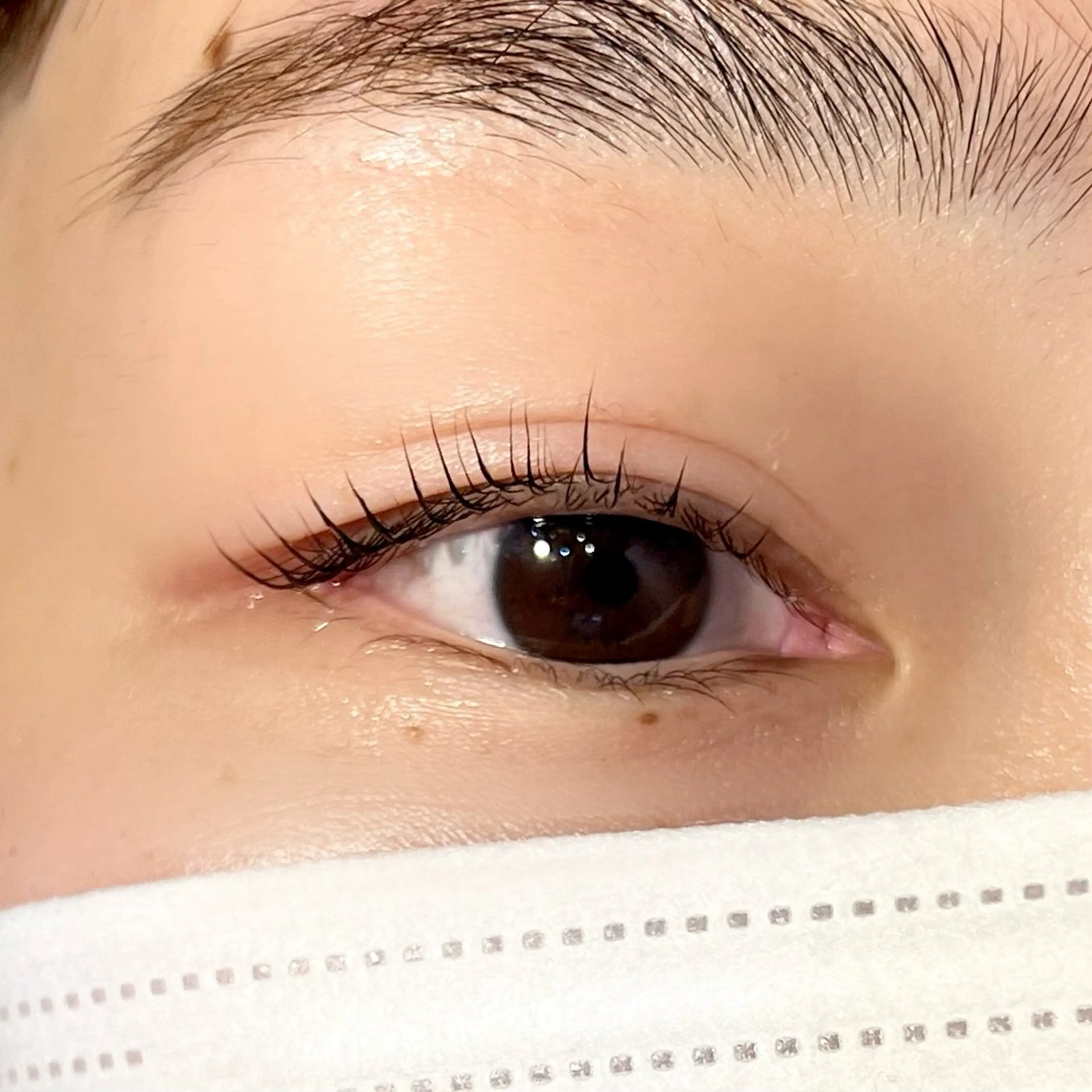 マツエク・マツパ mille automneのマツエク・マツパデザイン