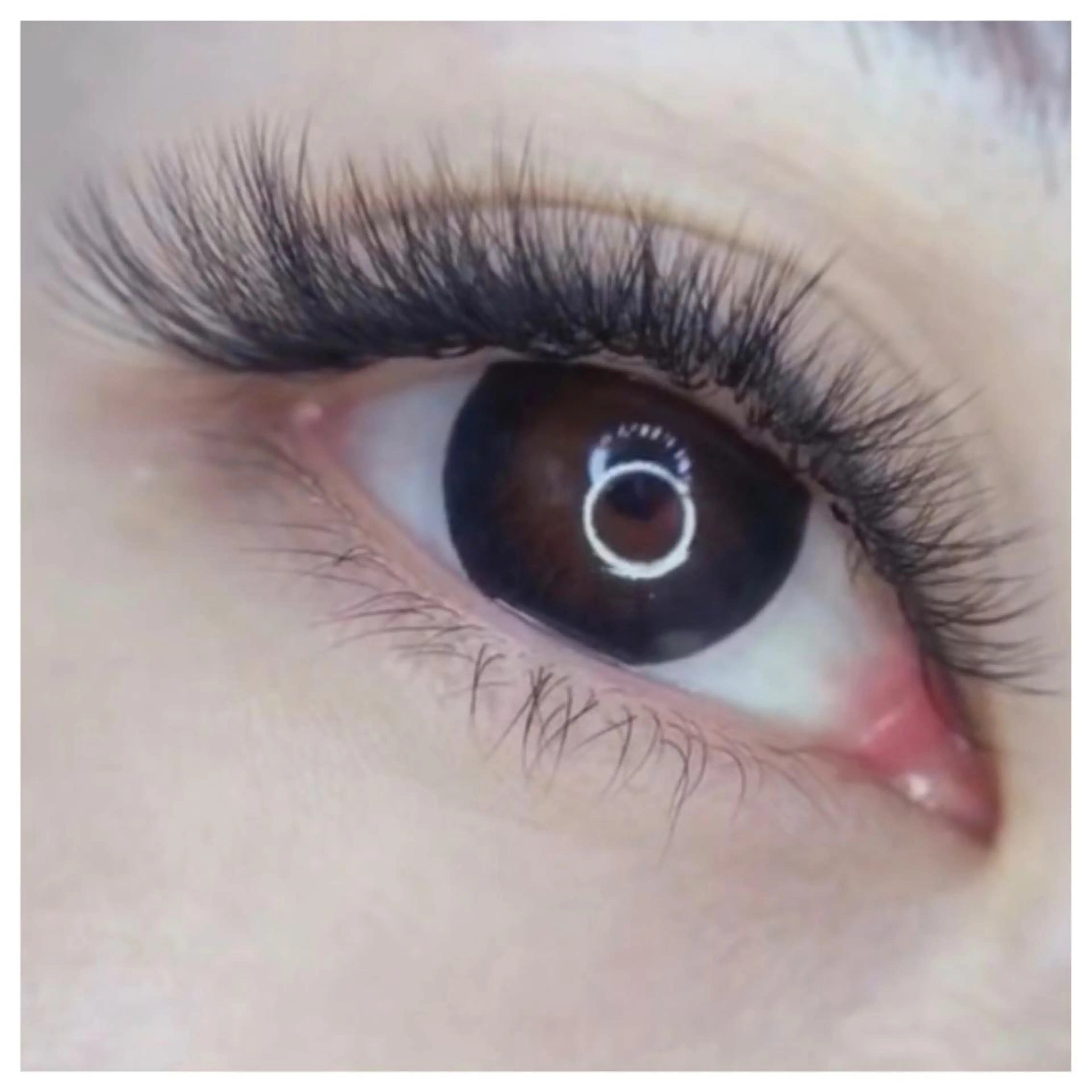 カラー パーマ ヘアアレンジ キッズ ネイル マツエク・マツパ Cカール 神山 ビューティー・アイのマツエク・マツパデザイン