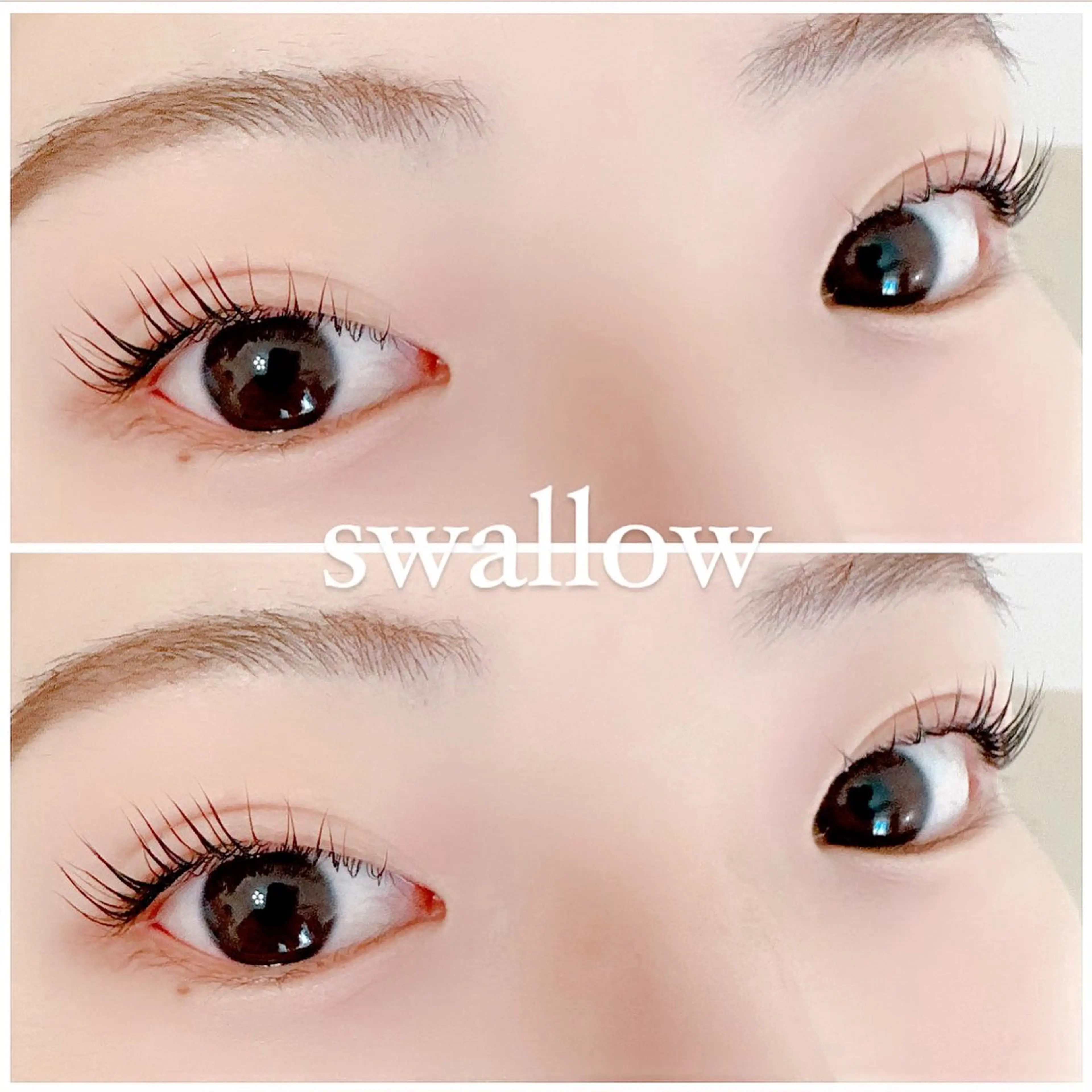 マツエク・マツパ Cカール 一重×まつ毛パーマ マツパ swallow 奈良西大寺店のマツエク・マツパデザイン