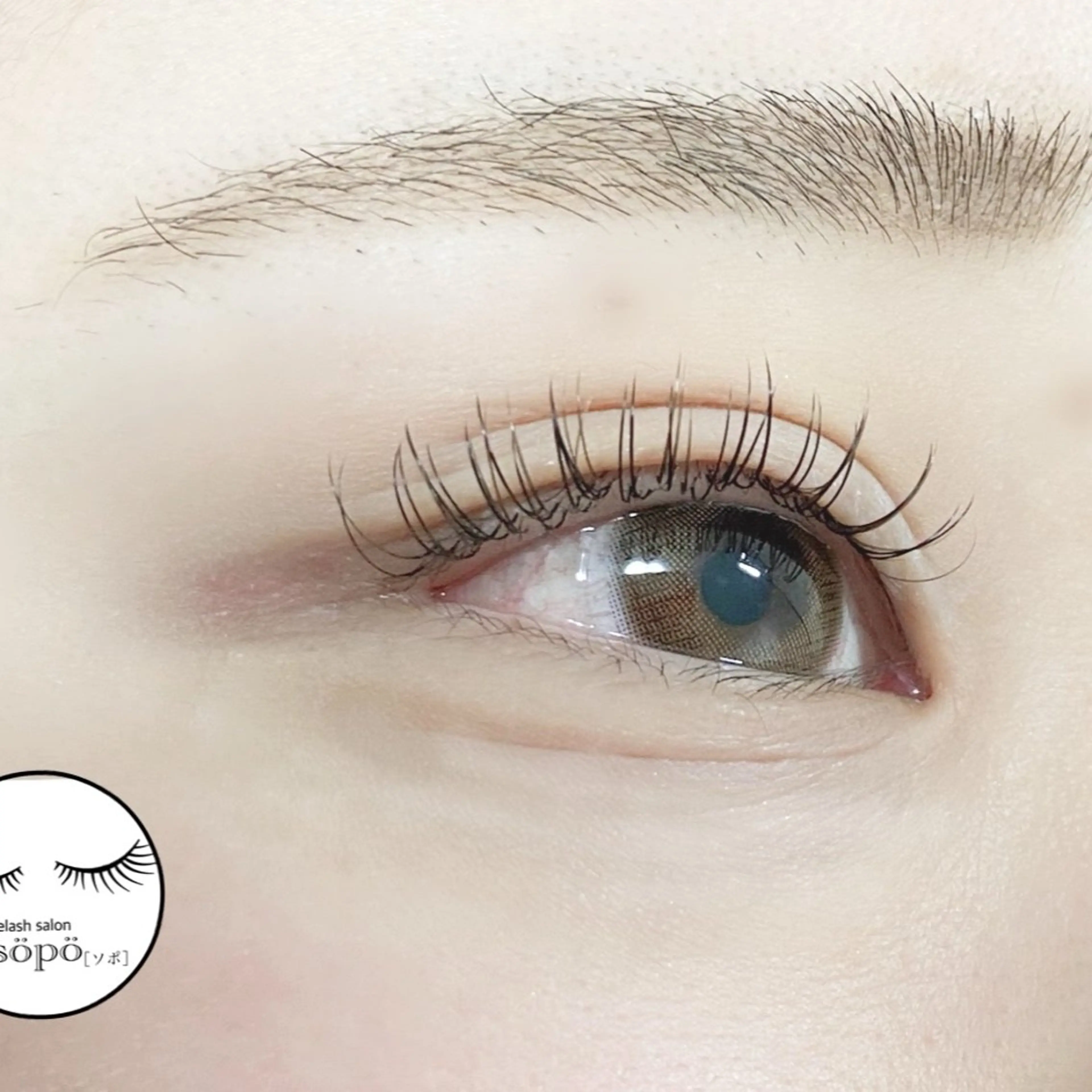 マツエク・マツパ カラーマツエク Dカール private　eyelash　salon　söpö所属・まつげサロン söpö  ソポのマツエク・マツパデザイン