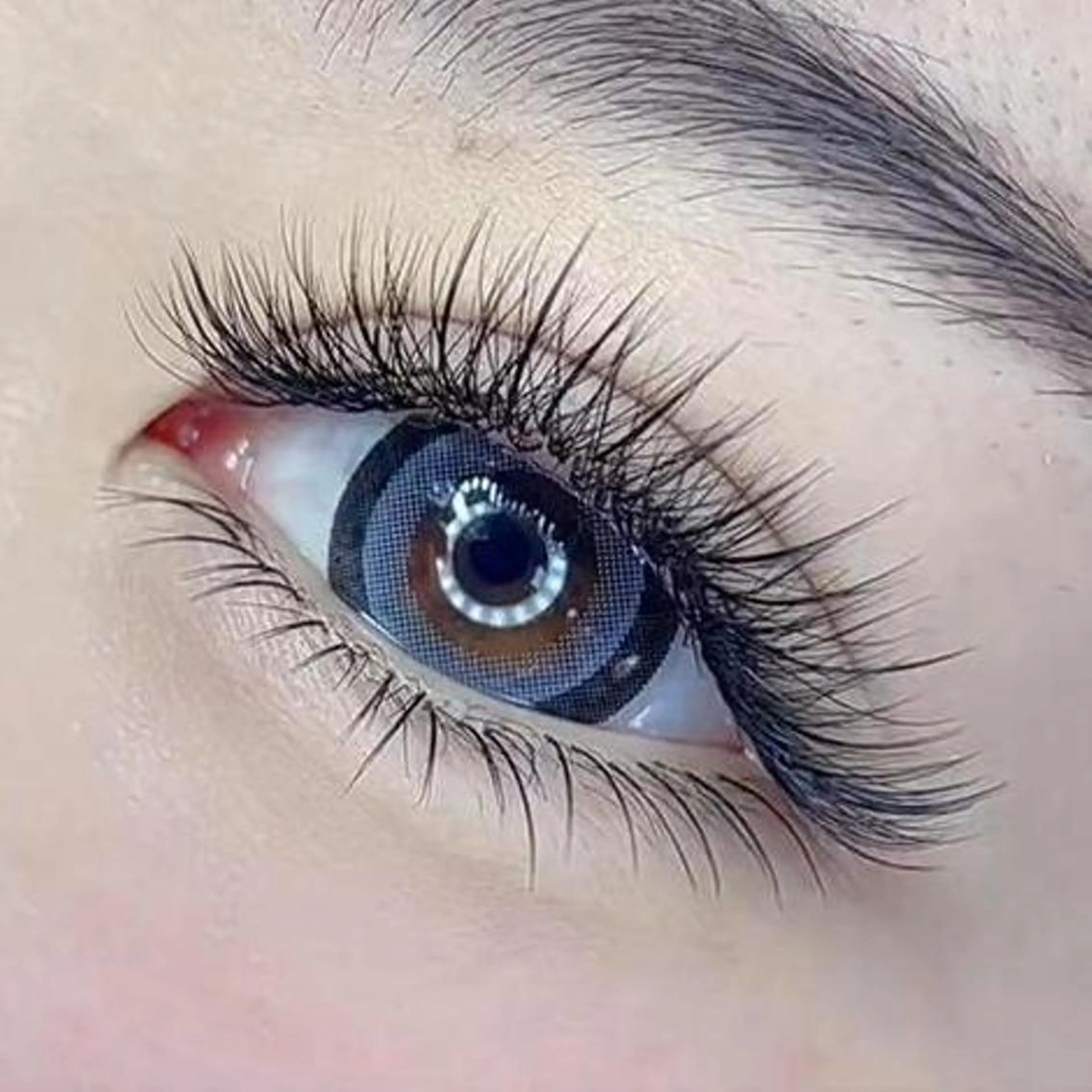 【学割】バインドロック200本¥5980の写真