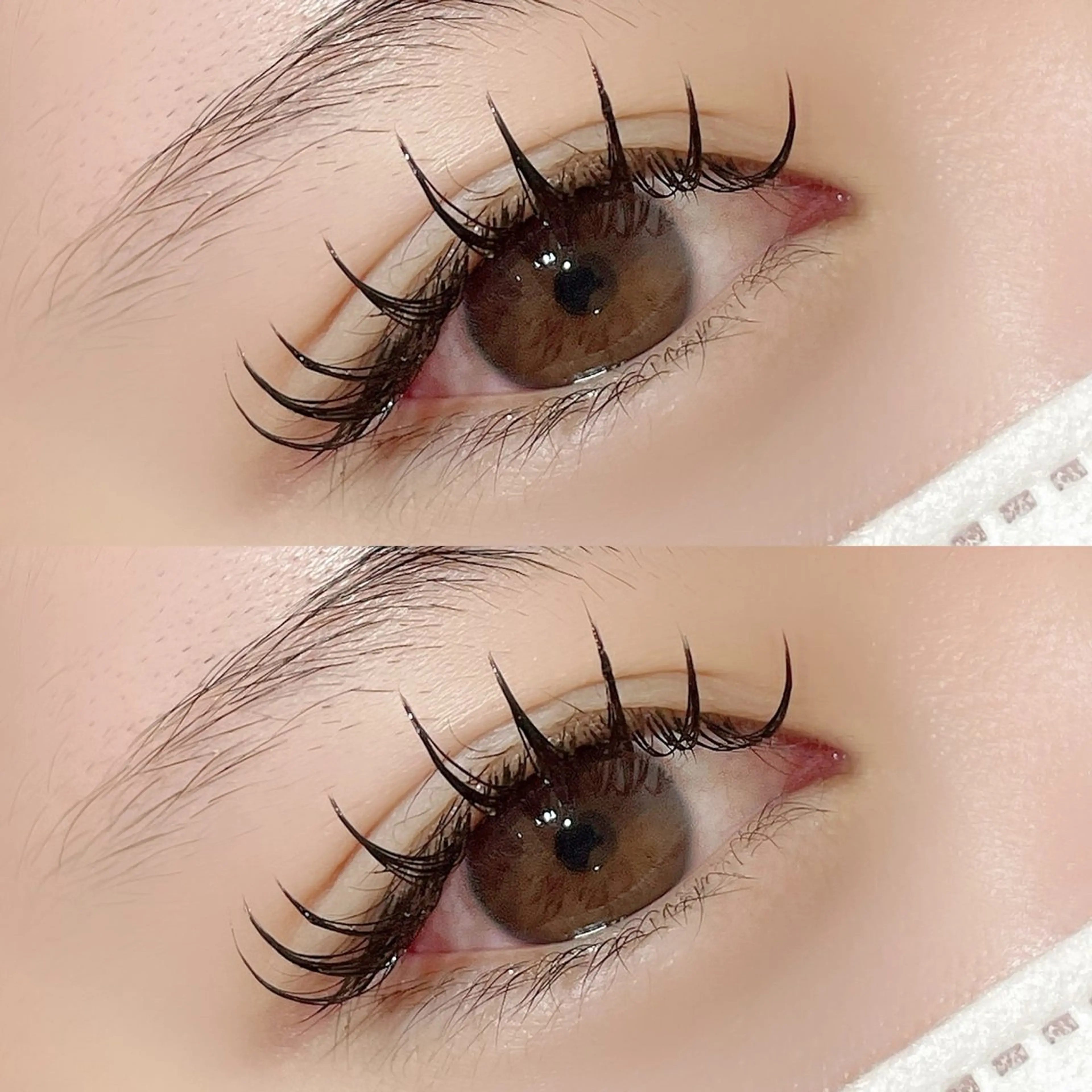 マツエク・マツパ 付け放題 フラットラッシュ Legami 熊本（レガーミ）所属・Legami YUMIのマツエク・マツパデザイン