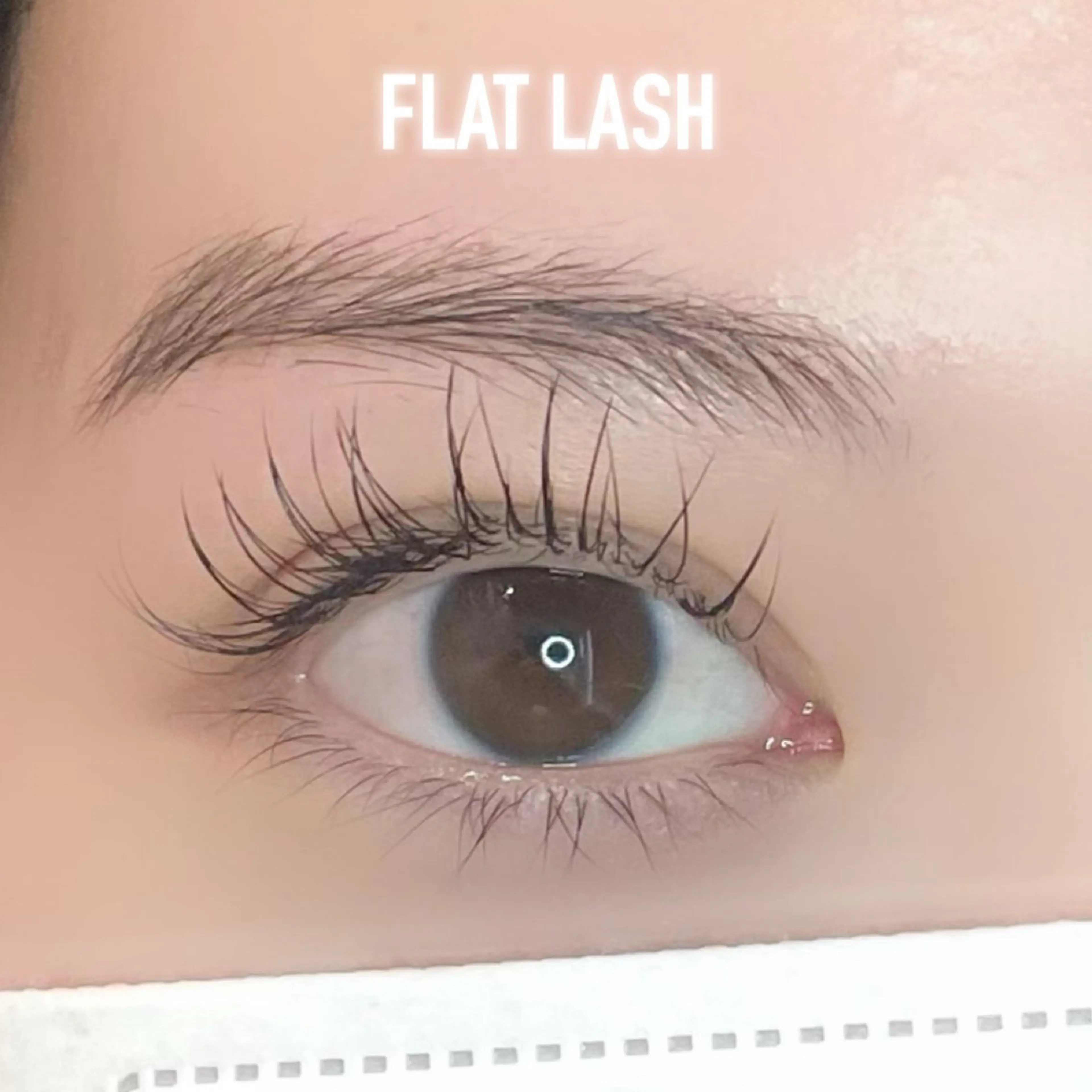 マツエク・マツパ フラットラッシュ Blanca by MOI所属・ミズモト 🌱のマツエク・マツパデザイン