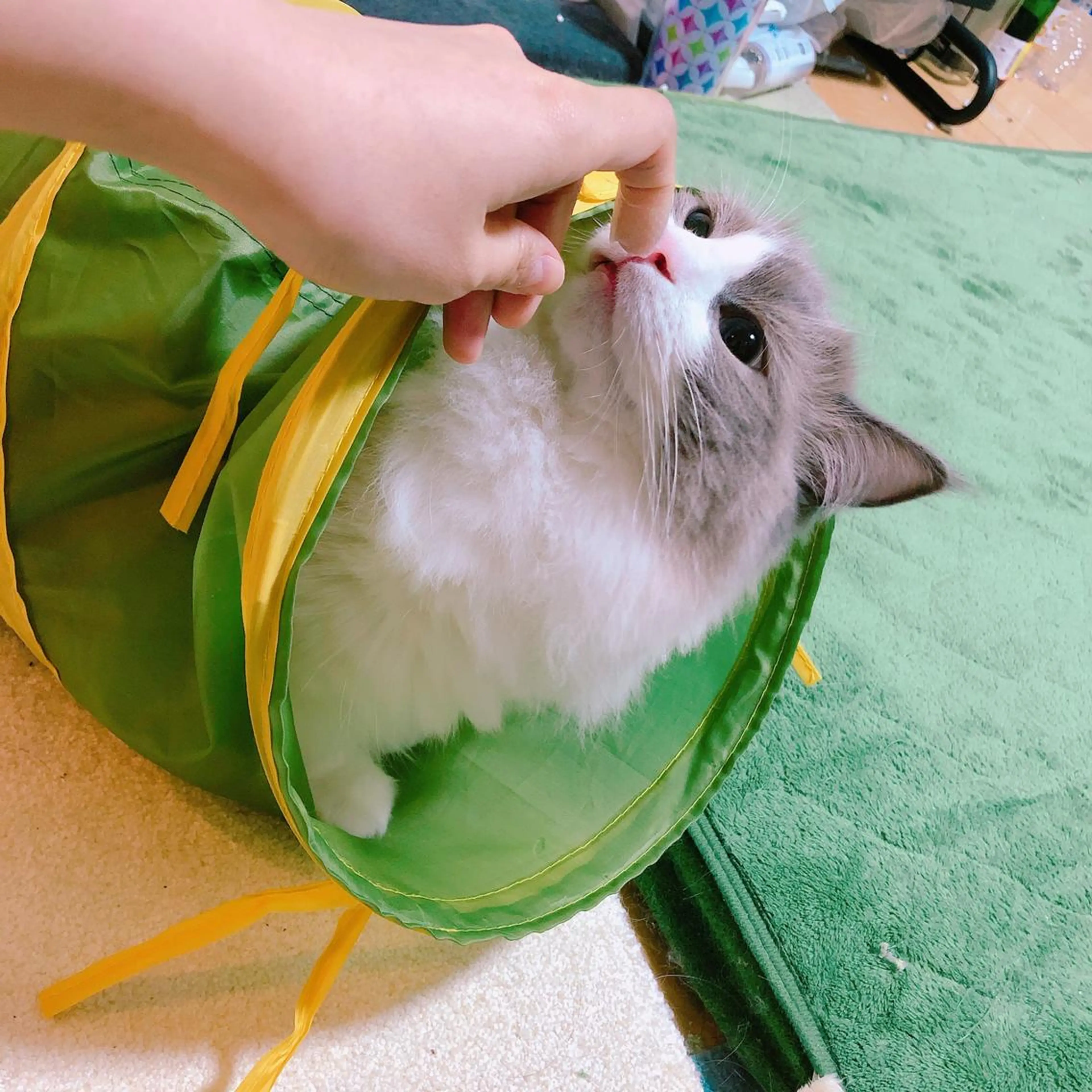 ネイル USAMiMi 🐰💕のネイルデザイン