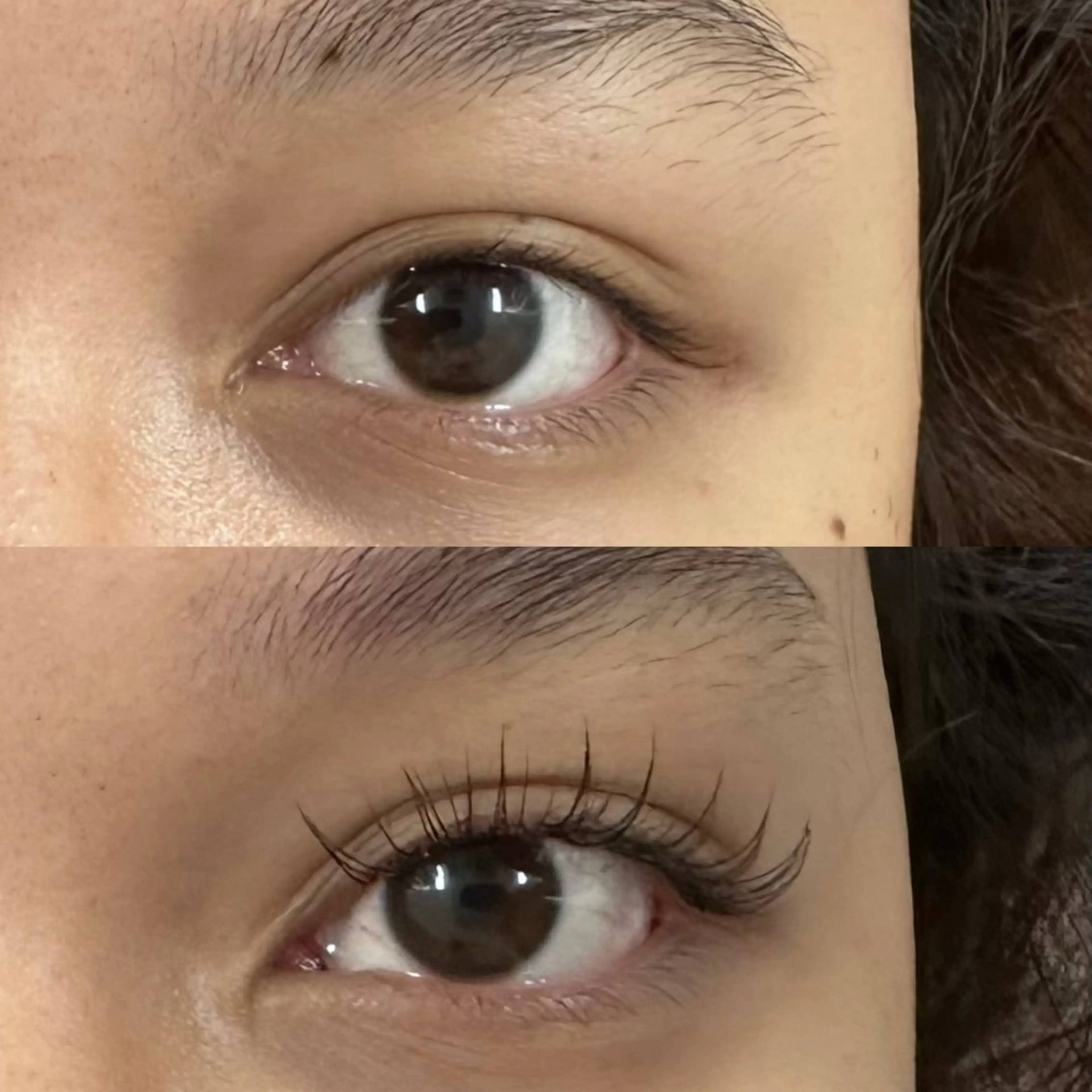 マツエク・マツパ 東京 秋のマツエク・マツパデザイン