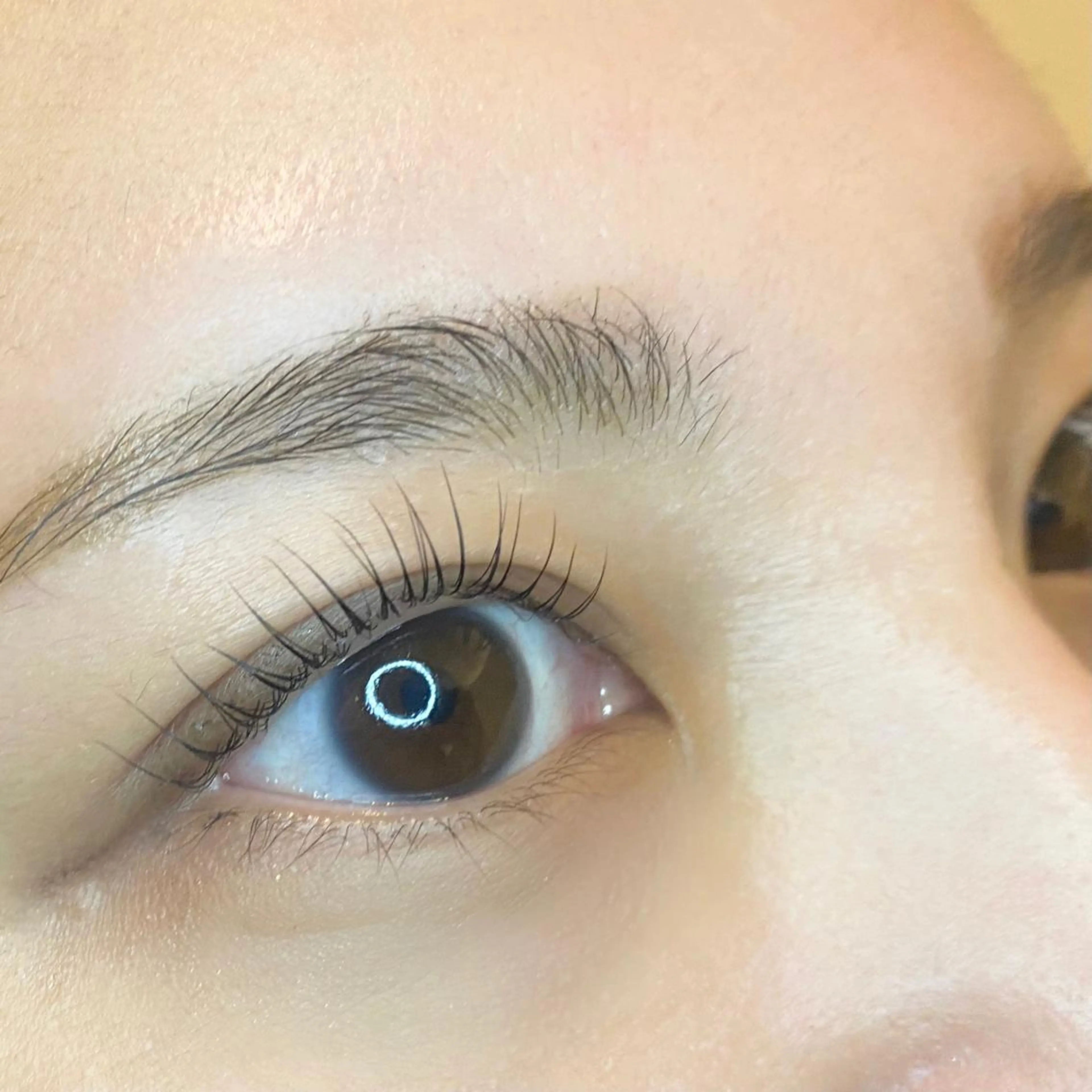 ＜本日限定価格＞まつげパーマの写真