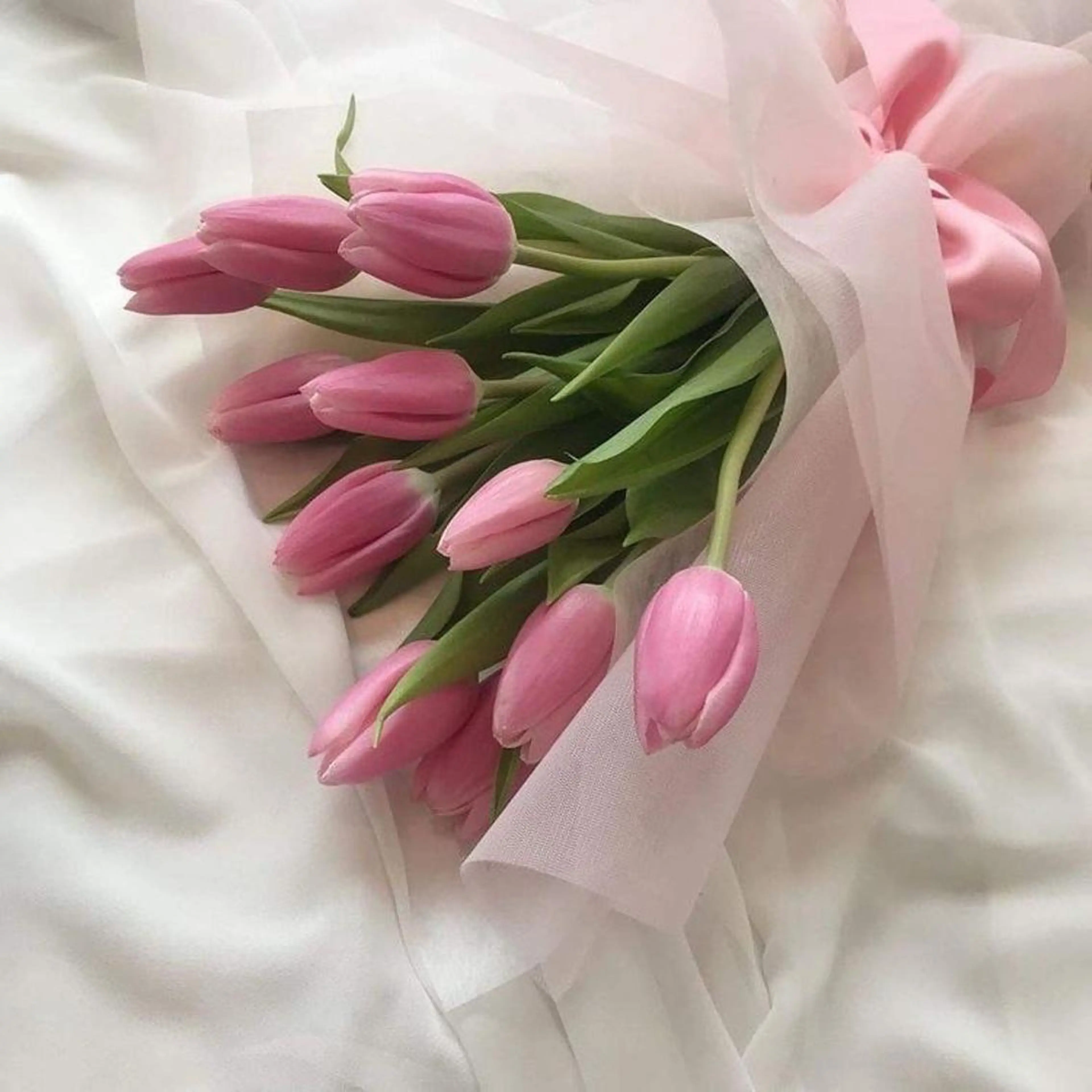 束感･似合わせ☽ mizunaのマツエク・マツパデザイン