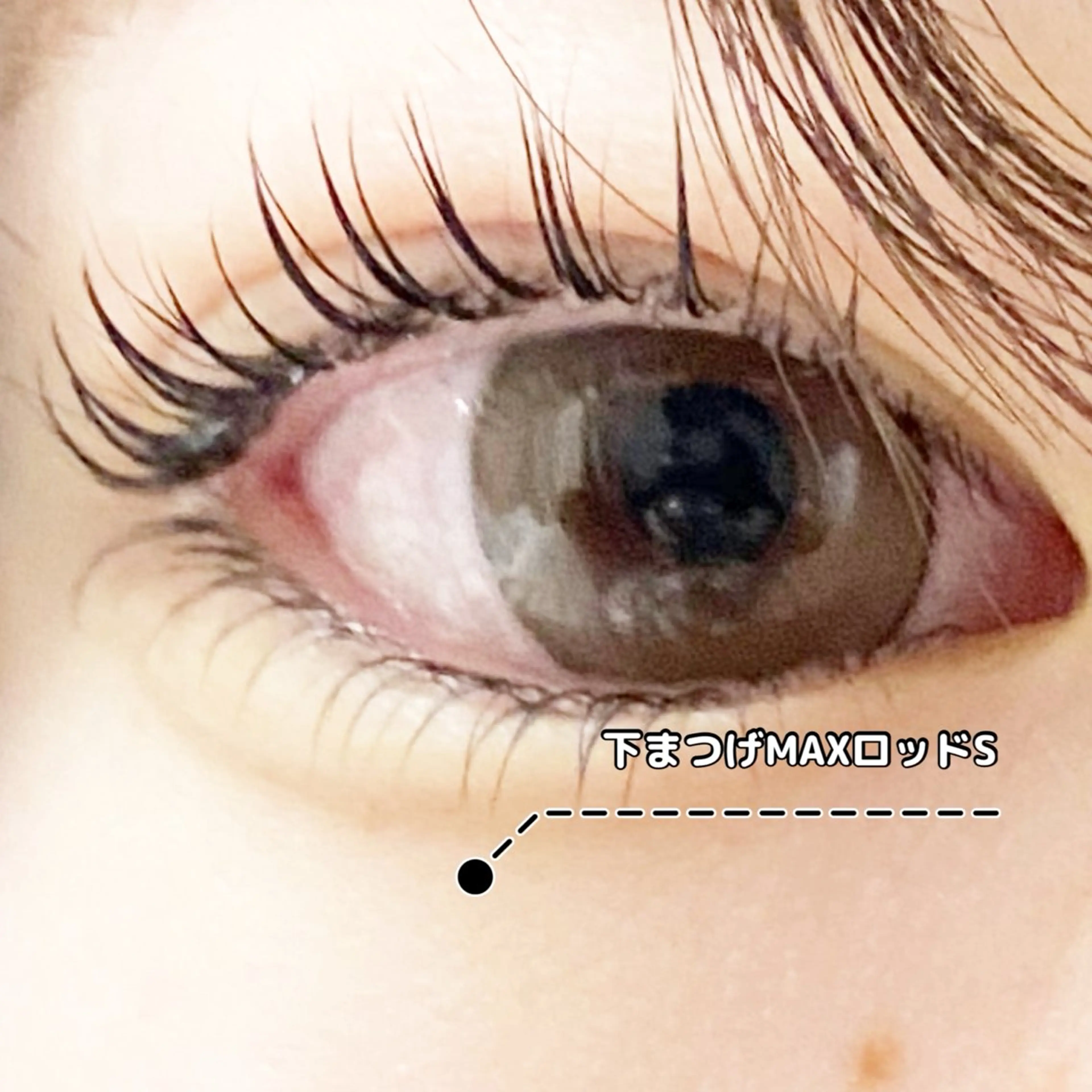 マツエク・マツパ まつげパーマ 下まつげエクステ LC尾張旭店所属・LC尾張旭店🫧 いしいのマツエク・マツパデザイン