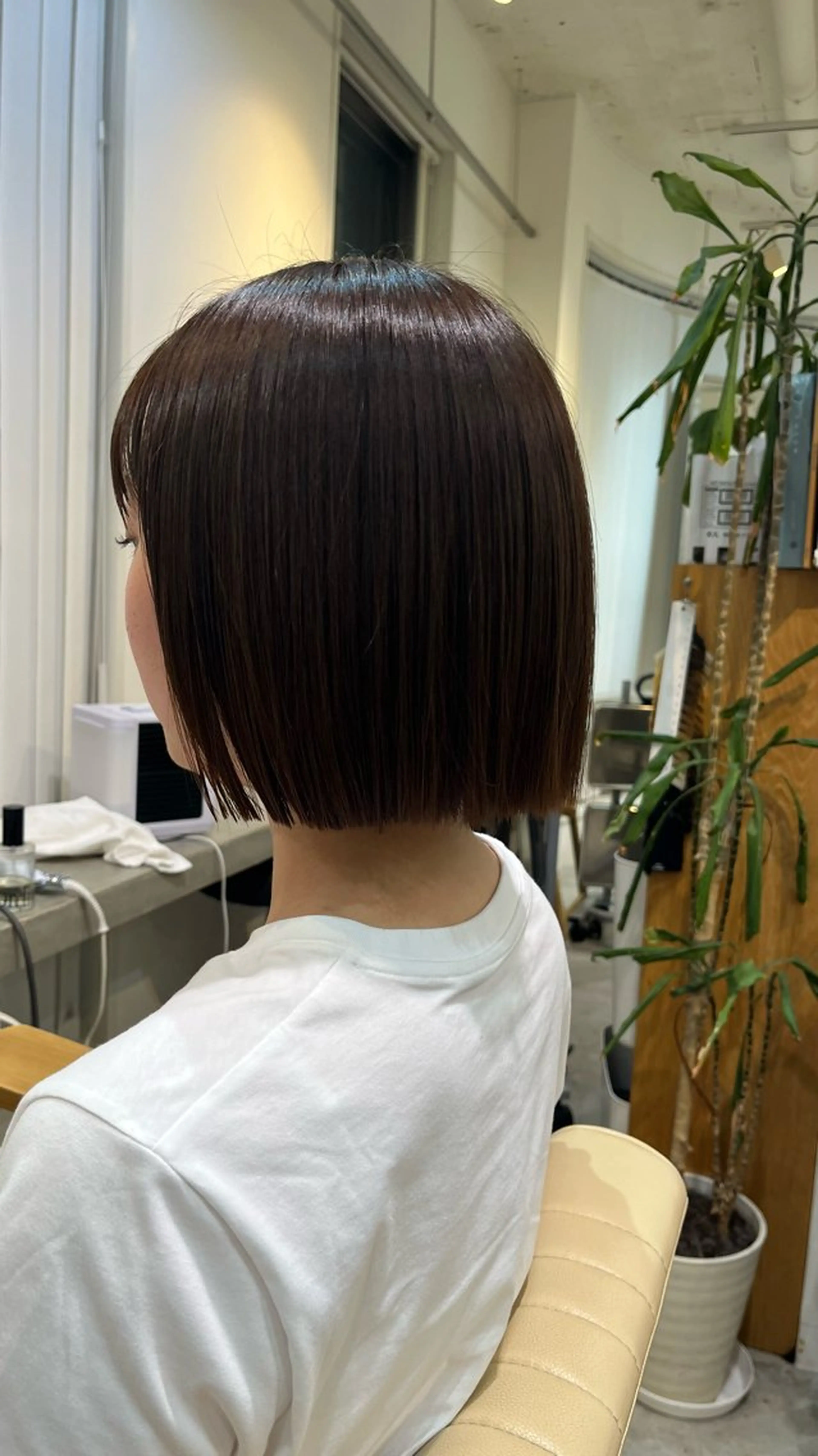 ミディアム 鷲田 晴輝のヘアスタイル