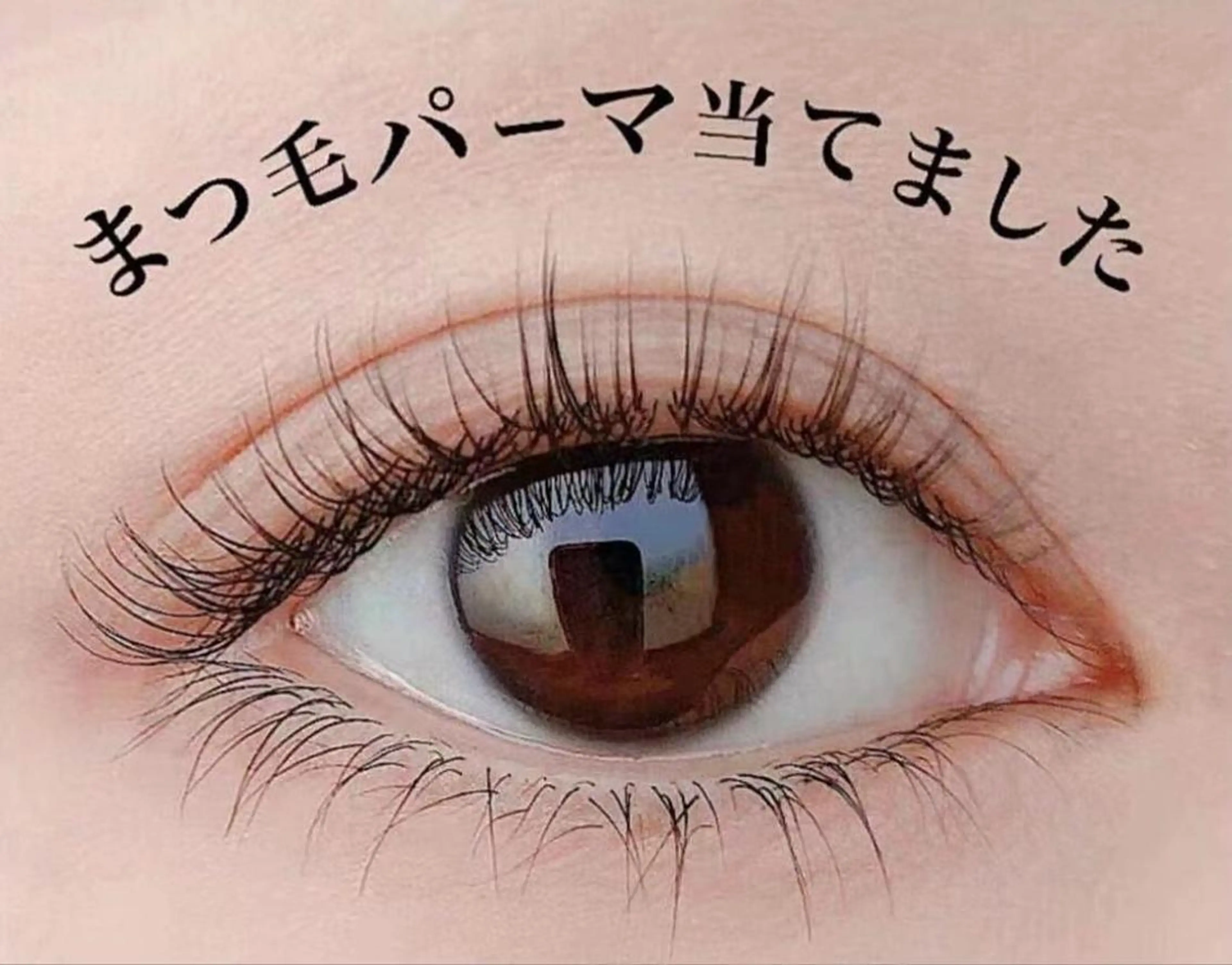 【ダメージ最小限】まつげパーマ💫美容液付き 3回目まで同価格3800円 4回目以降➕500円の写真