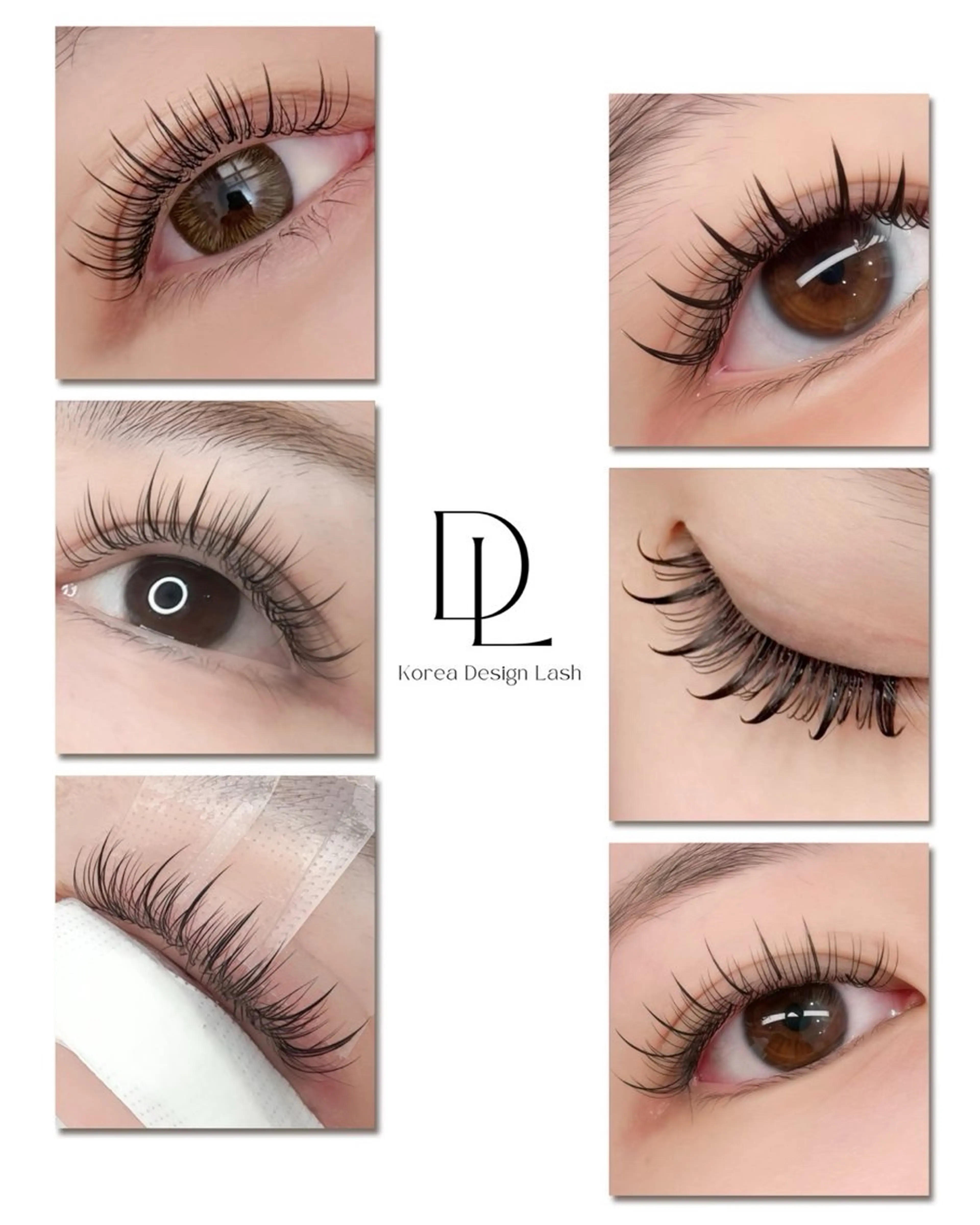 韓国デザインラッシュの写真