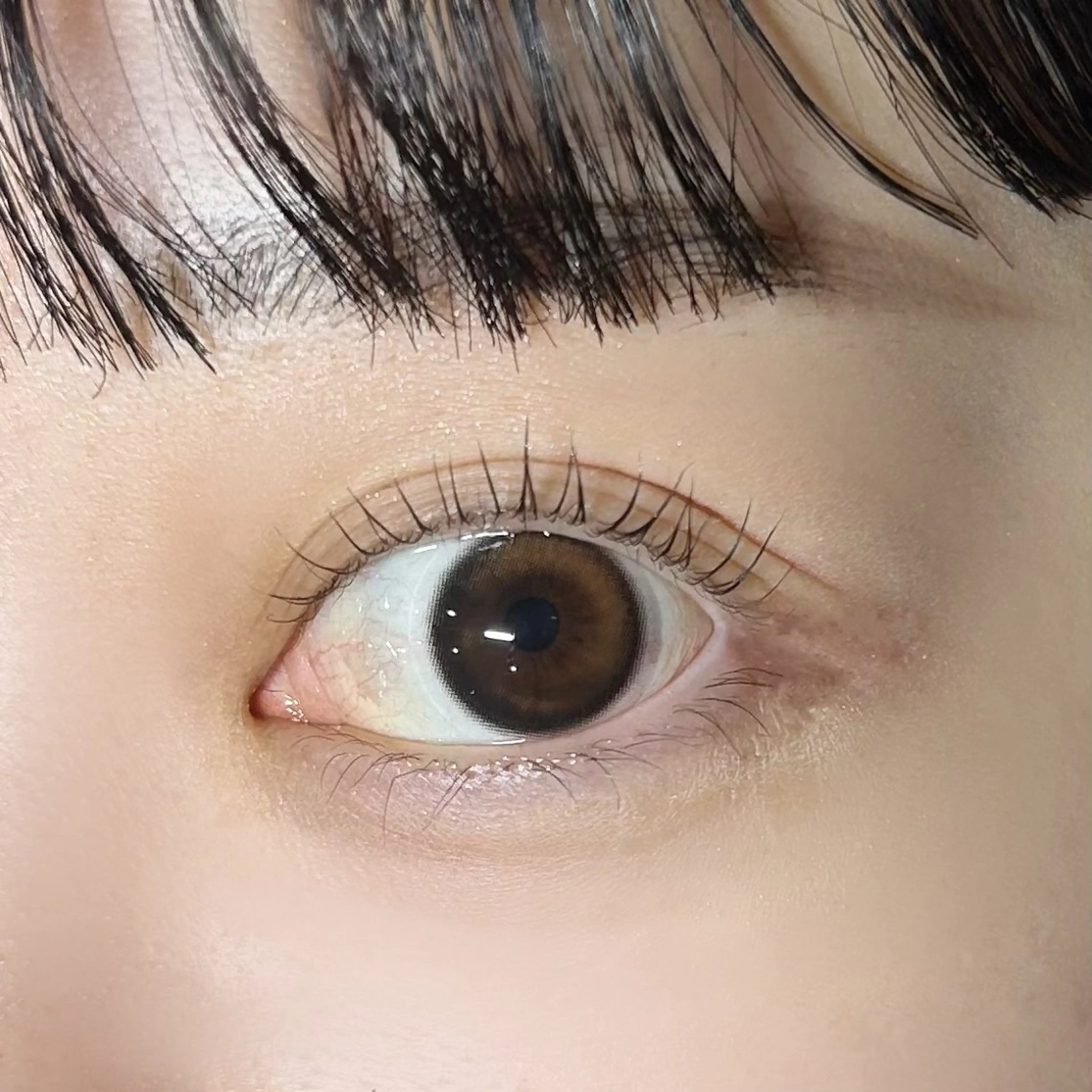 マツエク・マツパ PLUME momokaのマツエク・マツパデザイン