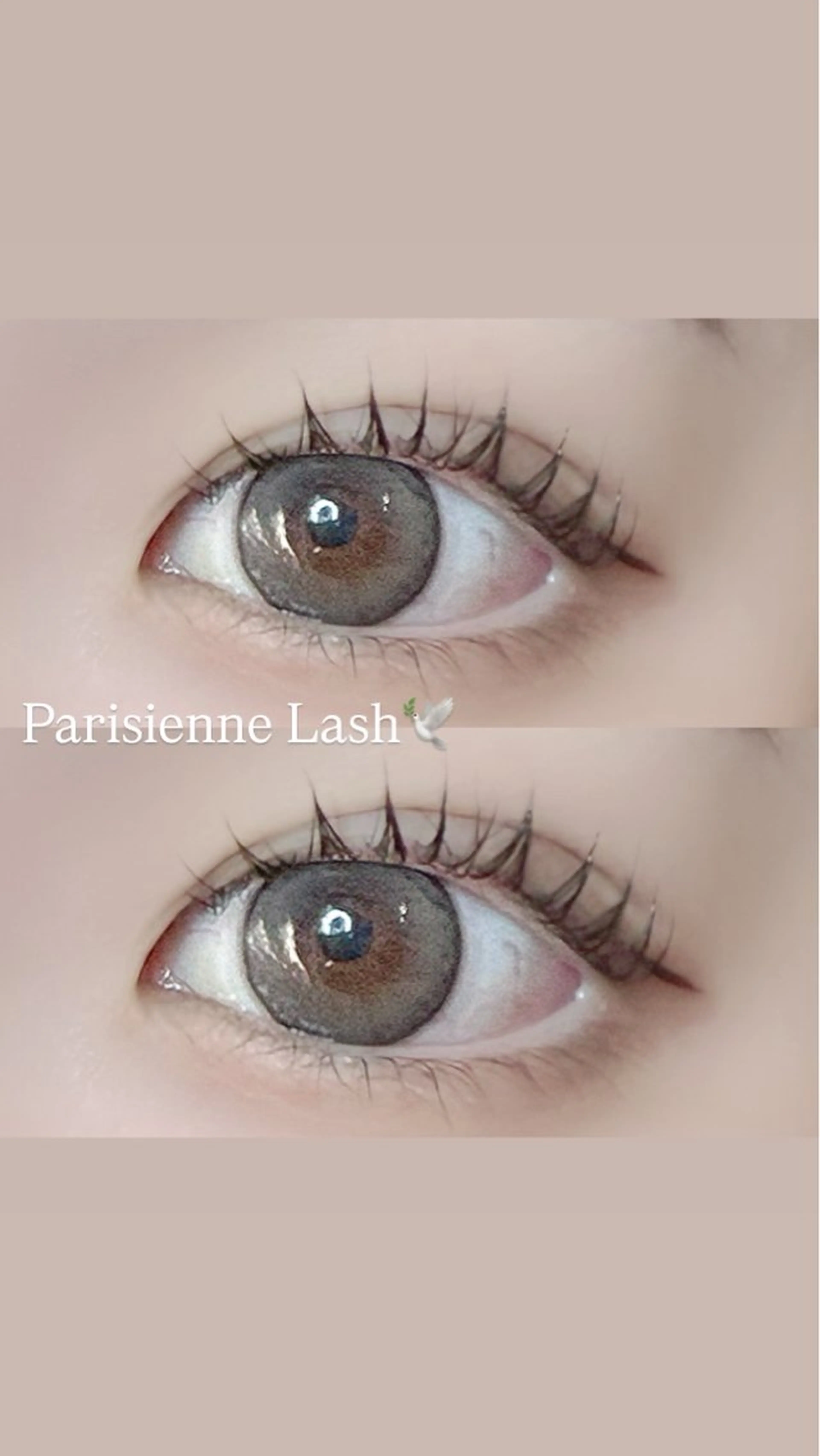 マツエク・マツパ マツパ 🩰yuri🩰 似合わせ/束感のマツエク・マツパデザイン