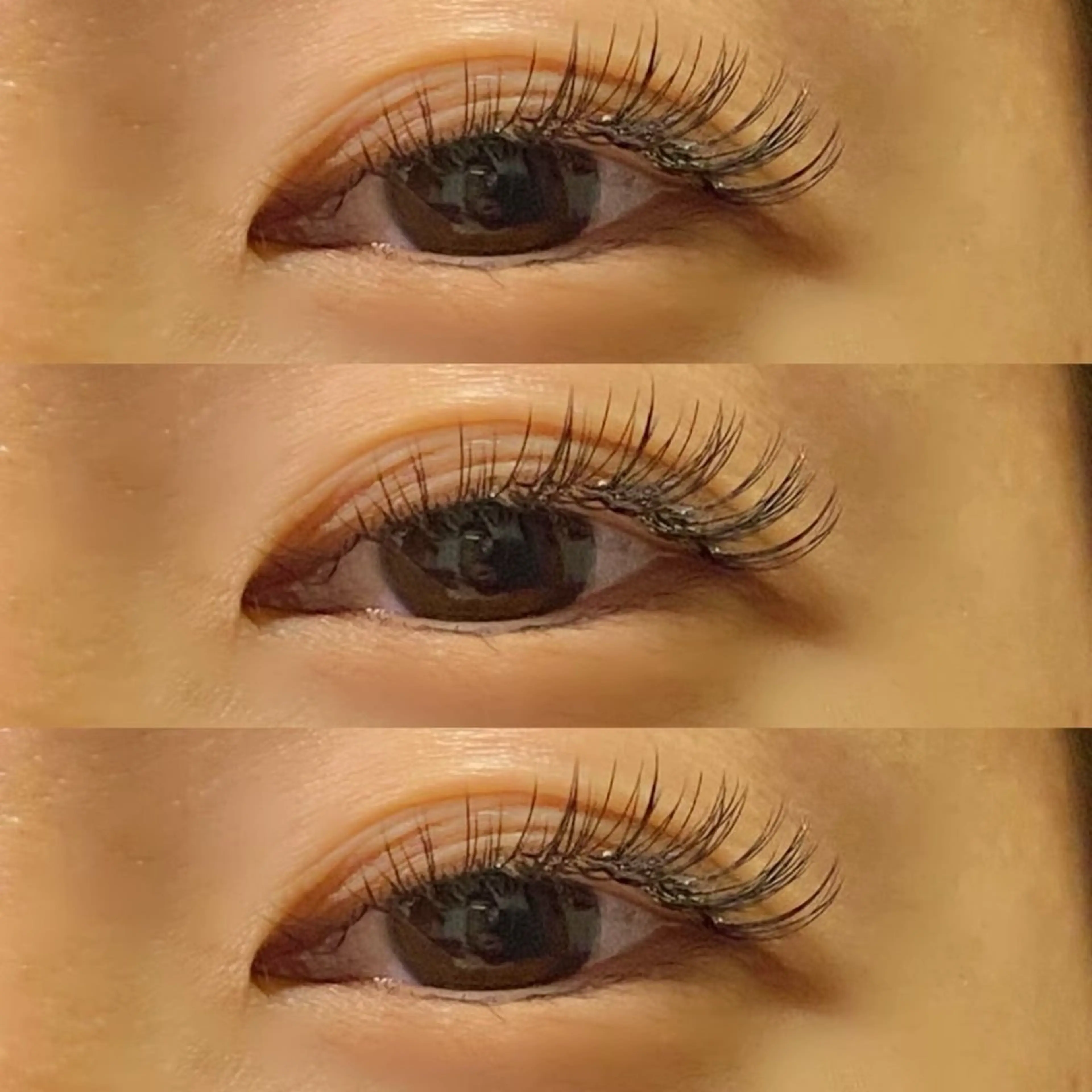 ミニモ限定💫LEDエクステ✨コーティング仕上げ付きセーブルフラット100本オフ込可5000円の写真