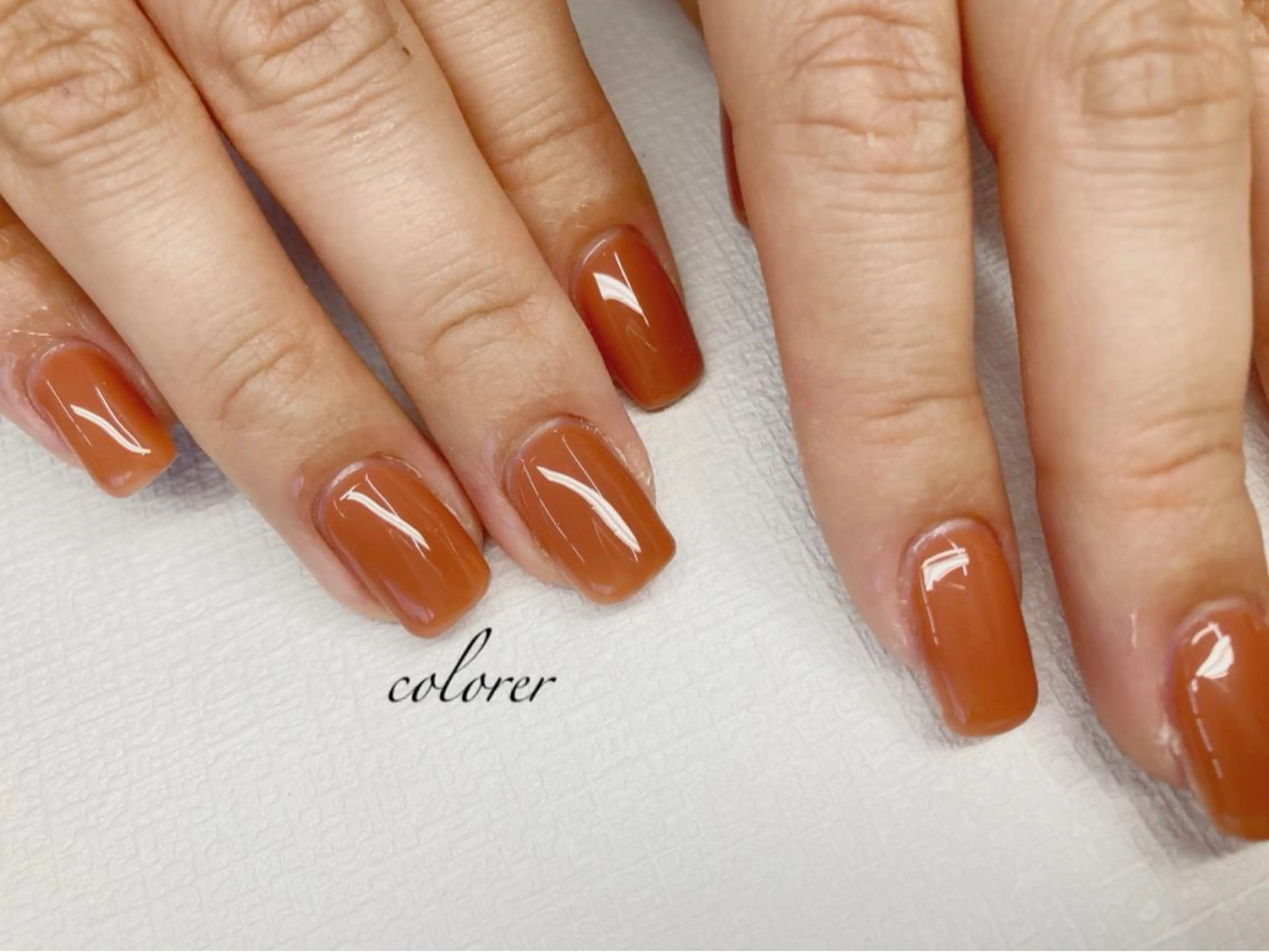 100種類以上ワンカラーの写真