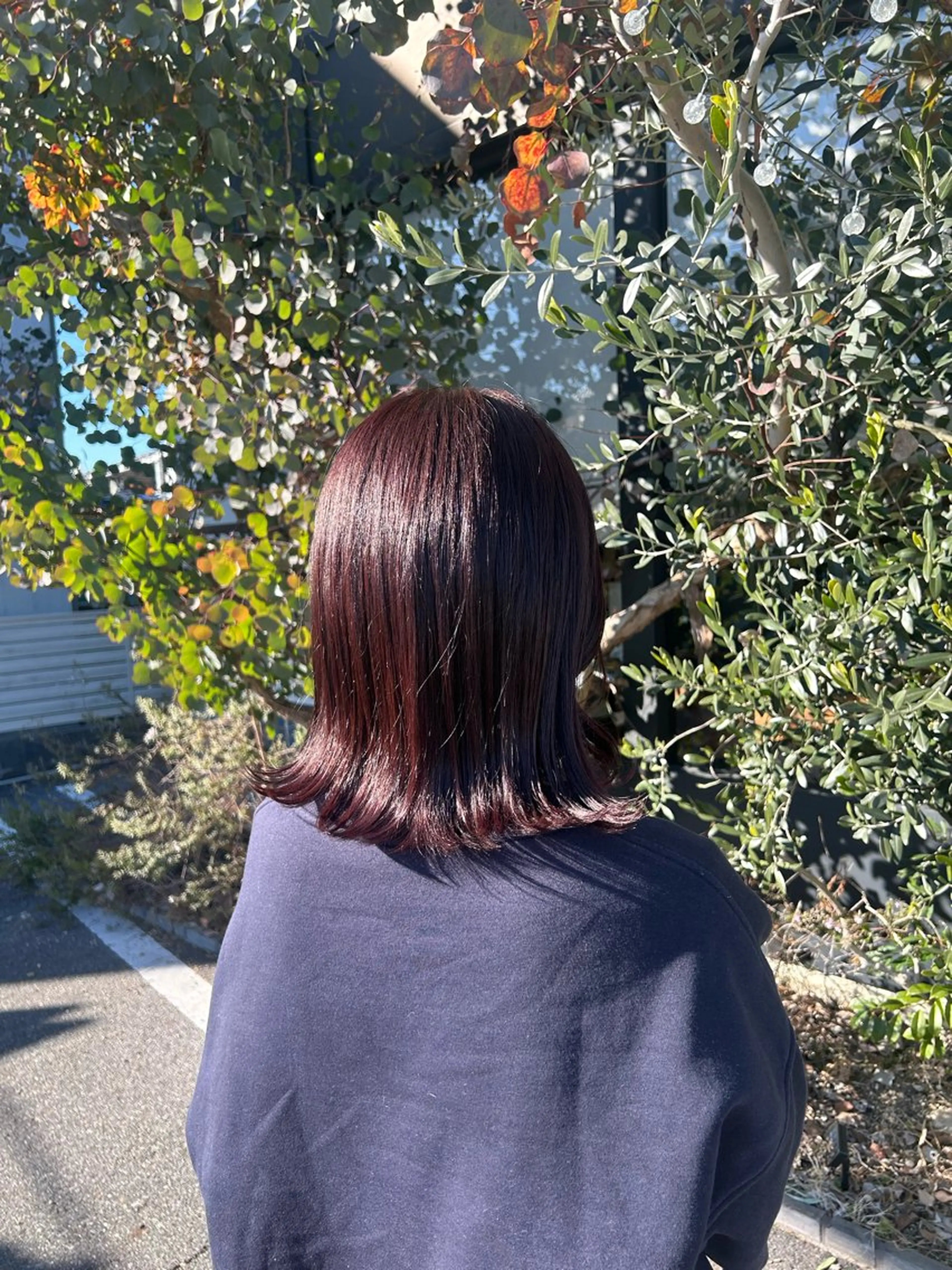 髪質改善トリートメント(長さ料金あり)の写真