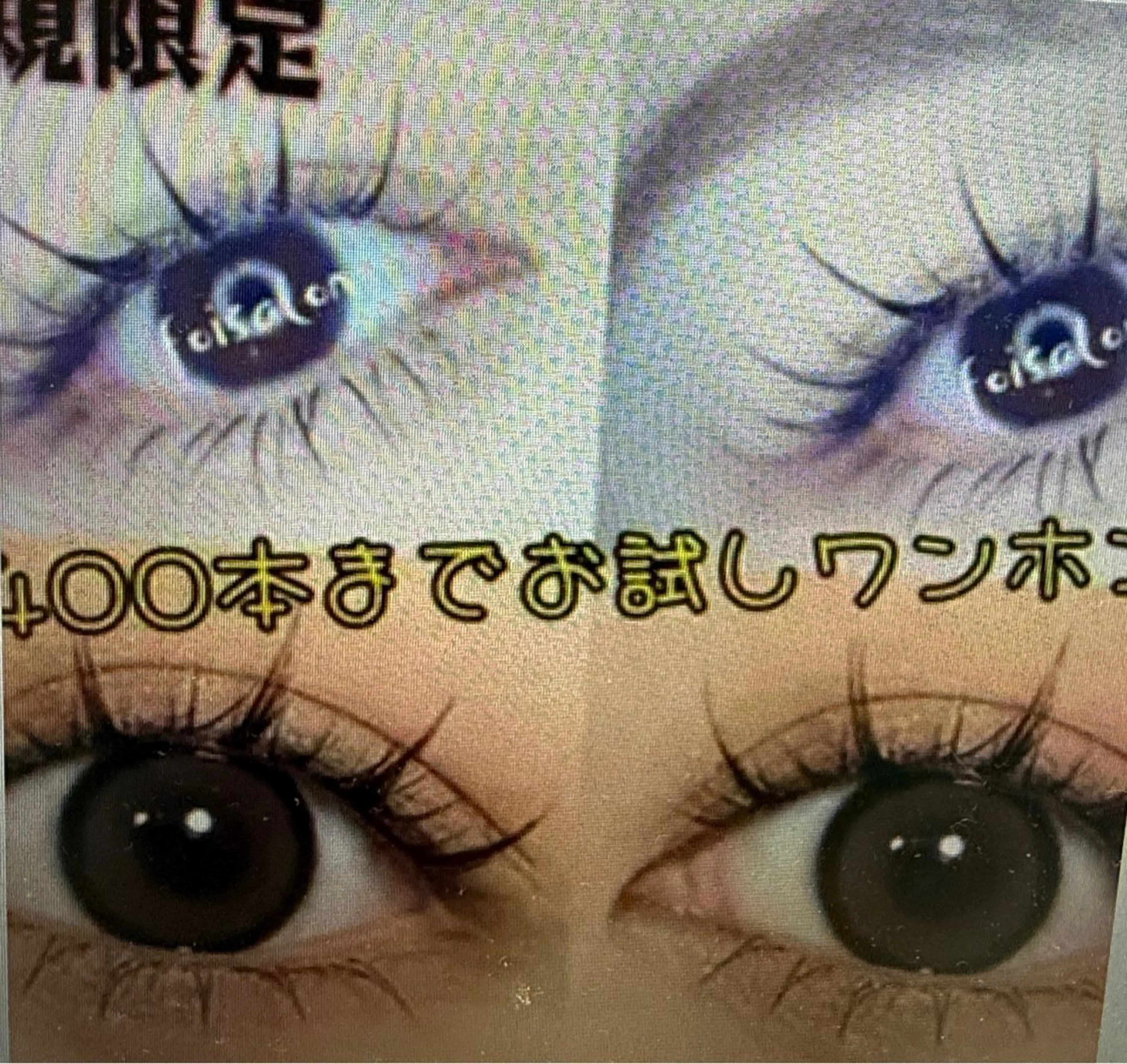 ワンホン400本+下30本の写真