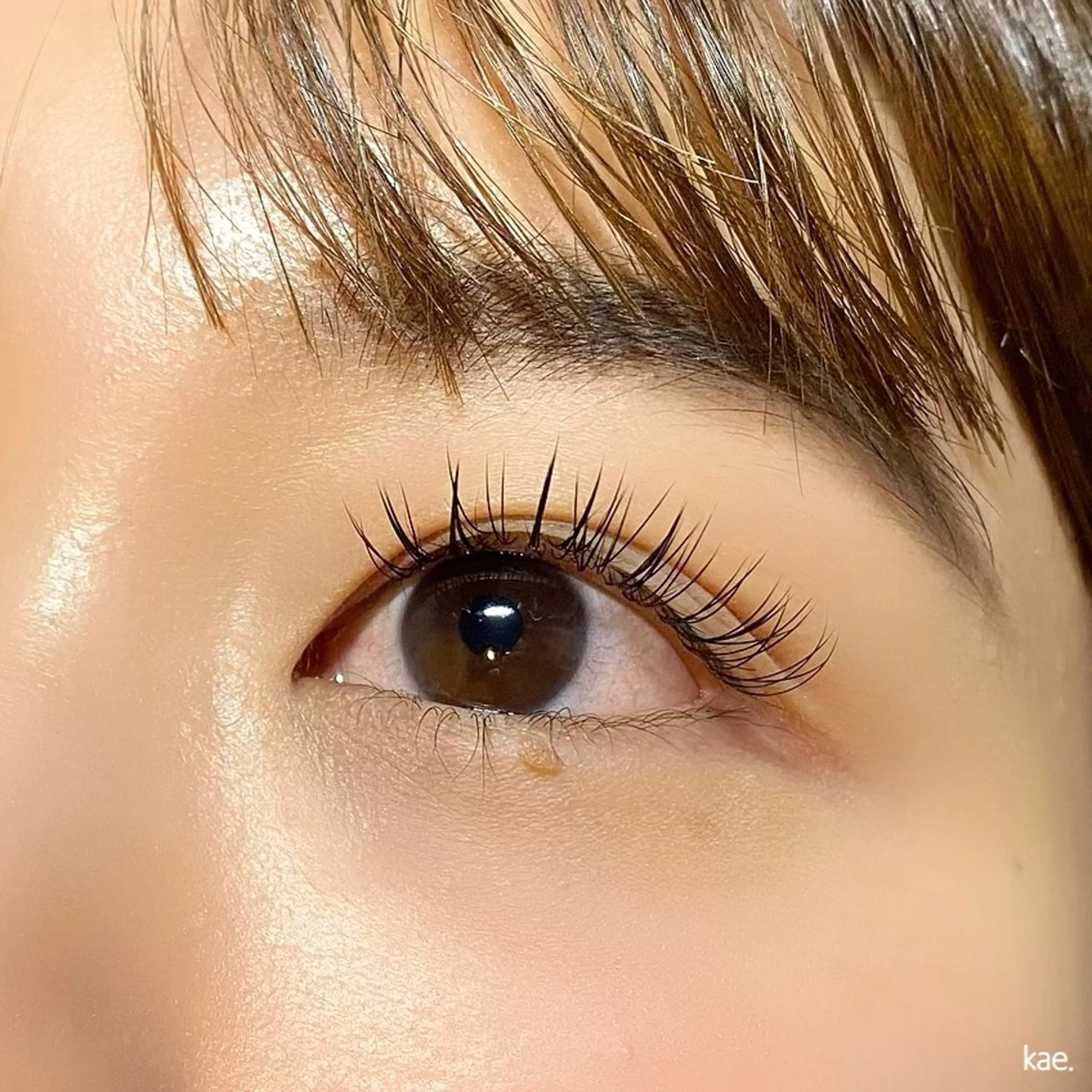 マツエク・マツパ マツエク 🌼eyelist kaede🌼のマツエク・マツパデザイン