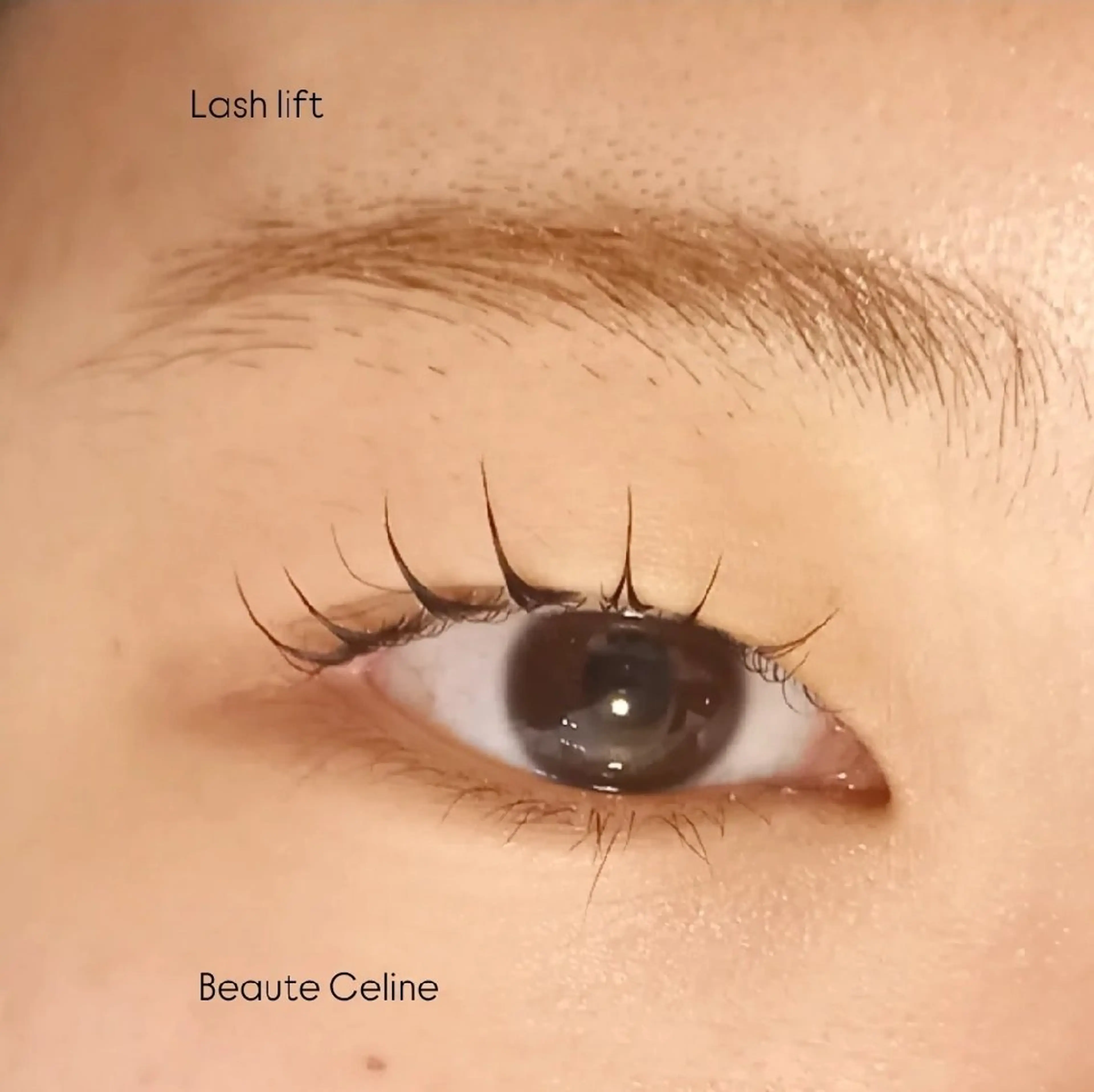 マツエク・マツパ 束感まつ毛 マツパ beaute.celine所属・8時～✨beaute Celine🌛🌹のマツエク・マツパデザイン