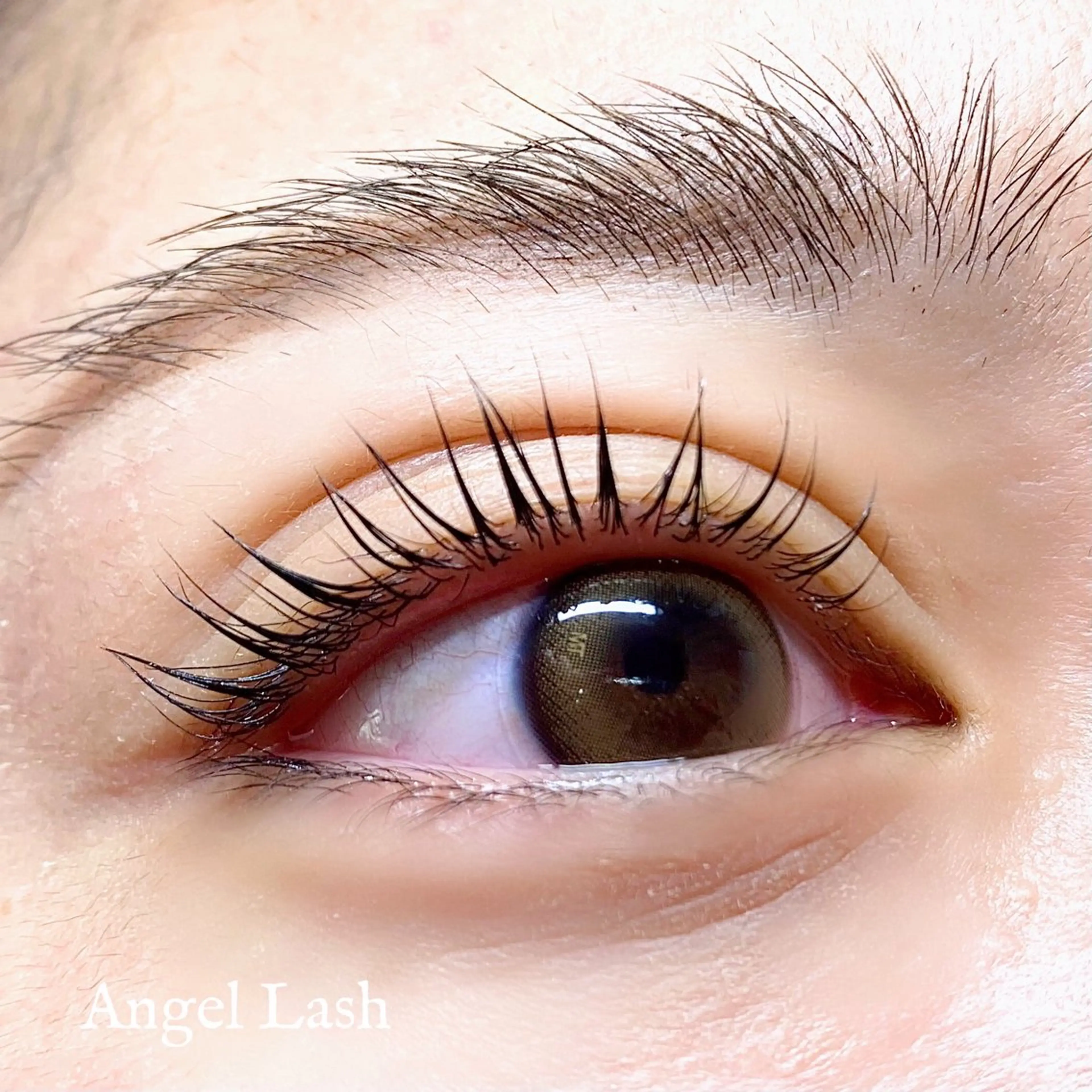 マツエク・マツパ パリジェンヌラッシュリフト THE EYEBROW 「ザ・アイブロウ」大宮店所属・sugimachi 🦋のマツエク・マツパデザイン