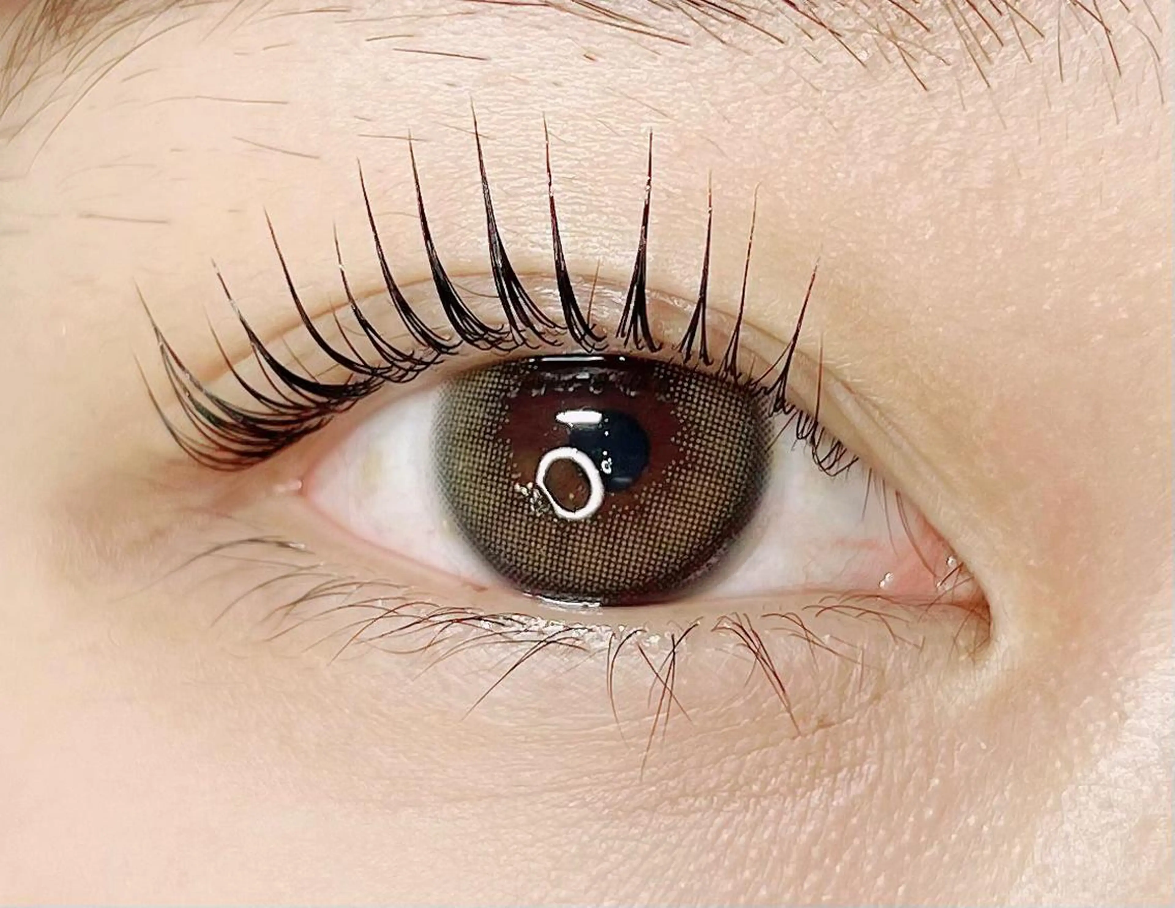 マツエク・マツパ パリジェンヌラッシュリフト マツパ eyelash plan api所属・【plan】 kaoriのマツエク・マツパデザイン