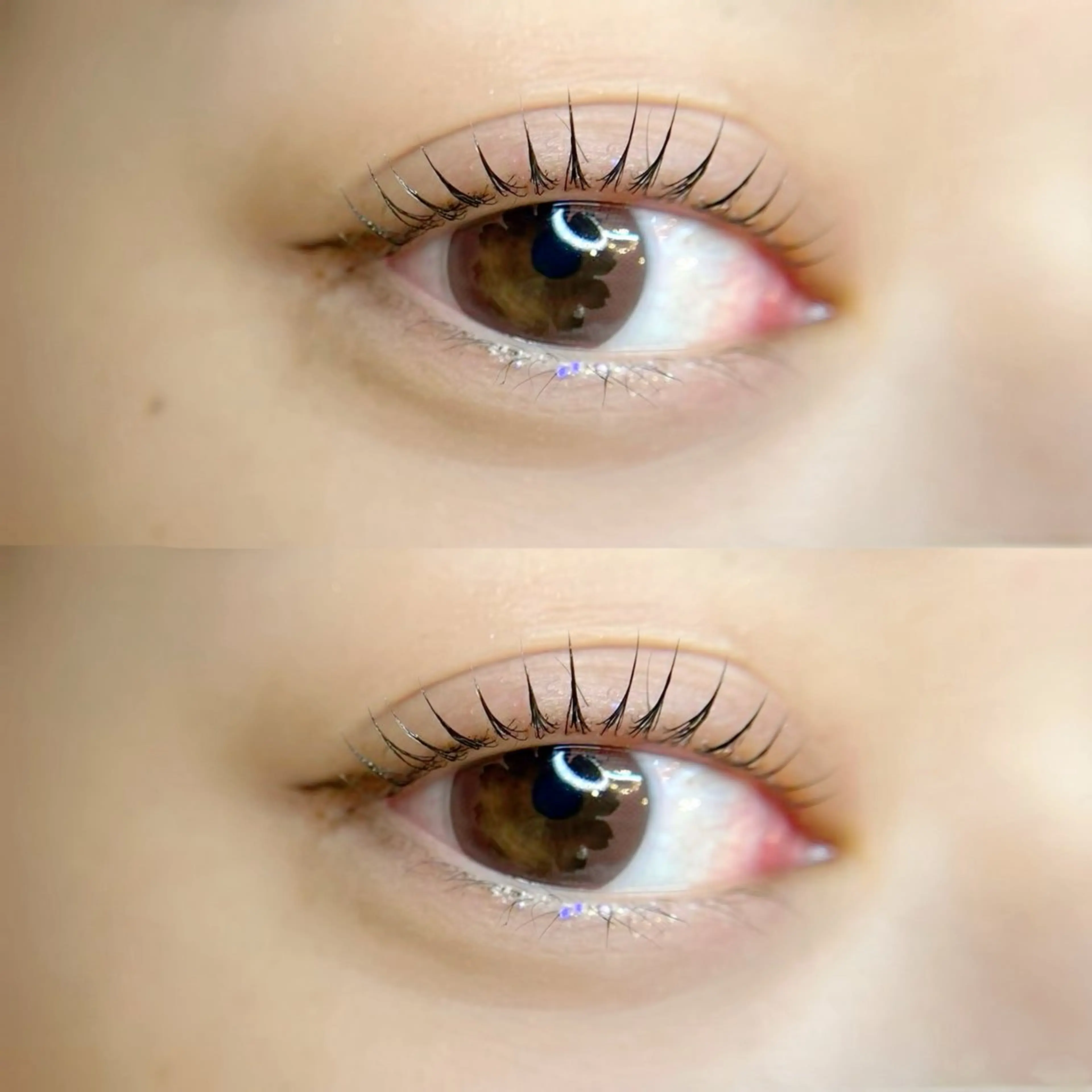 🤎【ケラチントリートメント】ダメージレスまつ毛パーマ👀🤎の写真