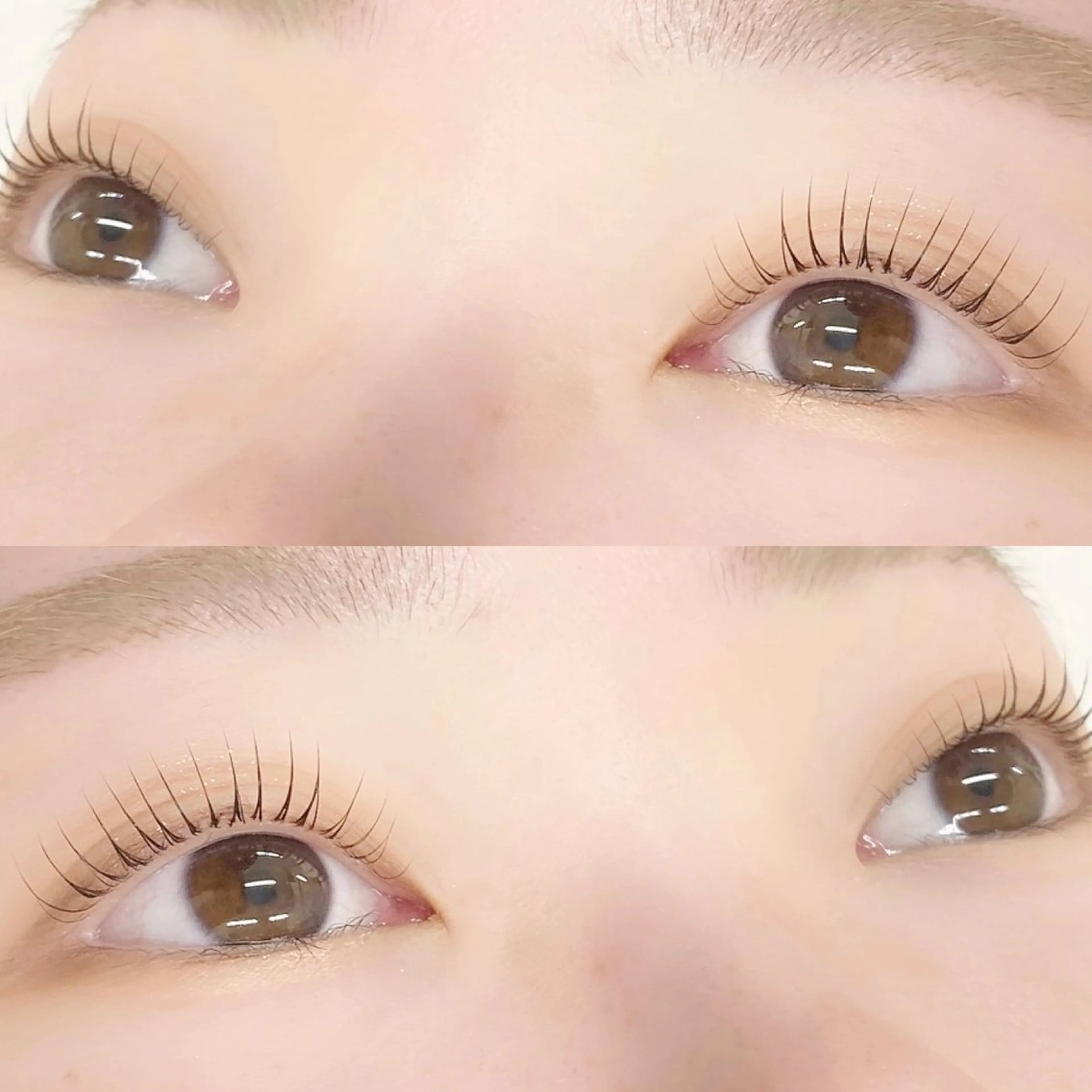 マツエク・マツパ 🌼Alba🌼 犬馬塲のマツエク・マツパデザイン