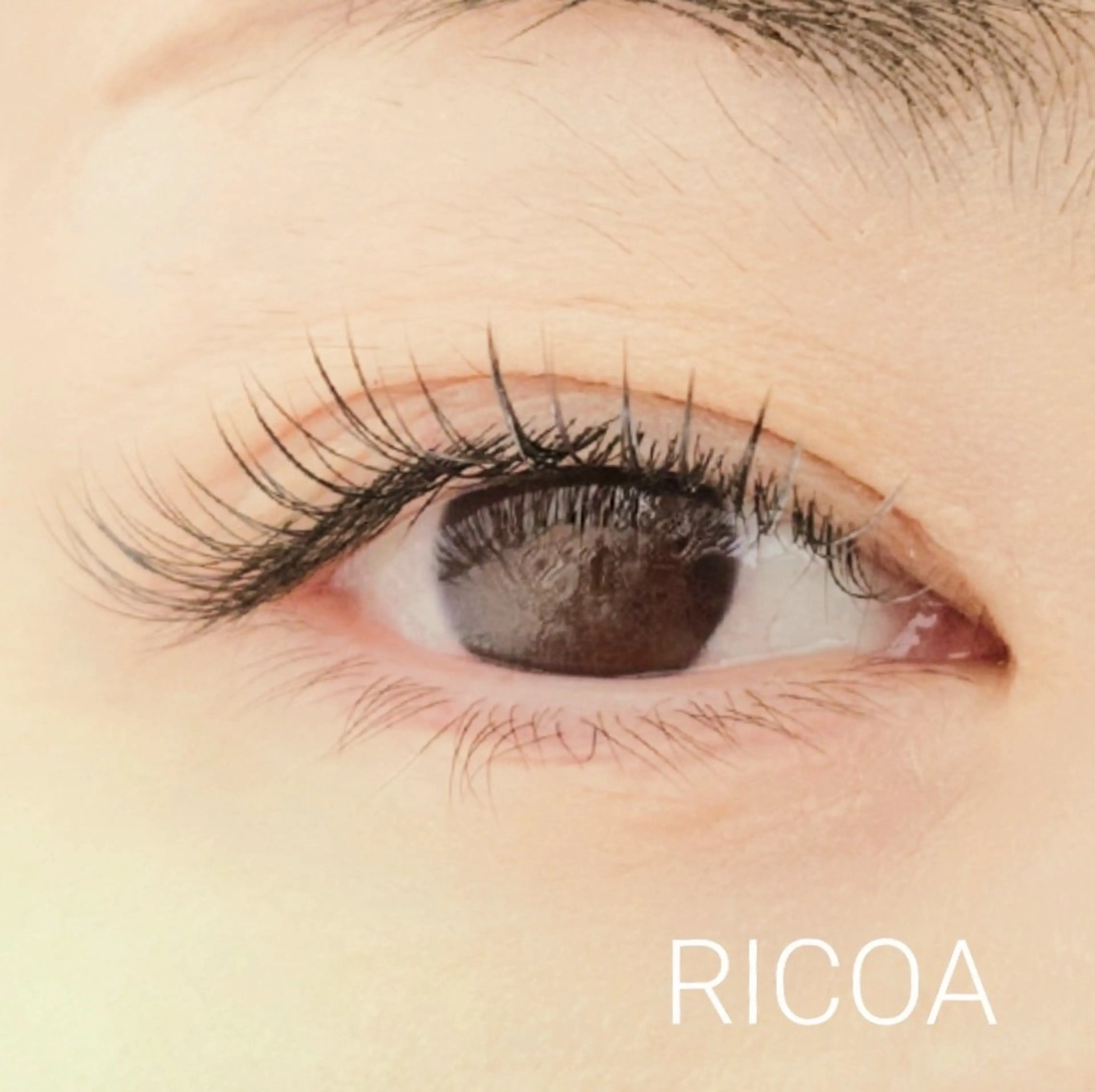 マツエク・マツパ フラットラッシュ RICOA 酒井のマツエク・マツパデザイン