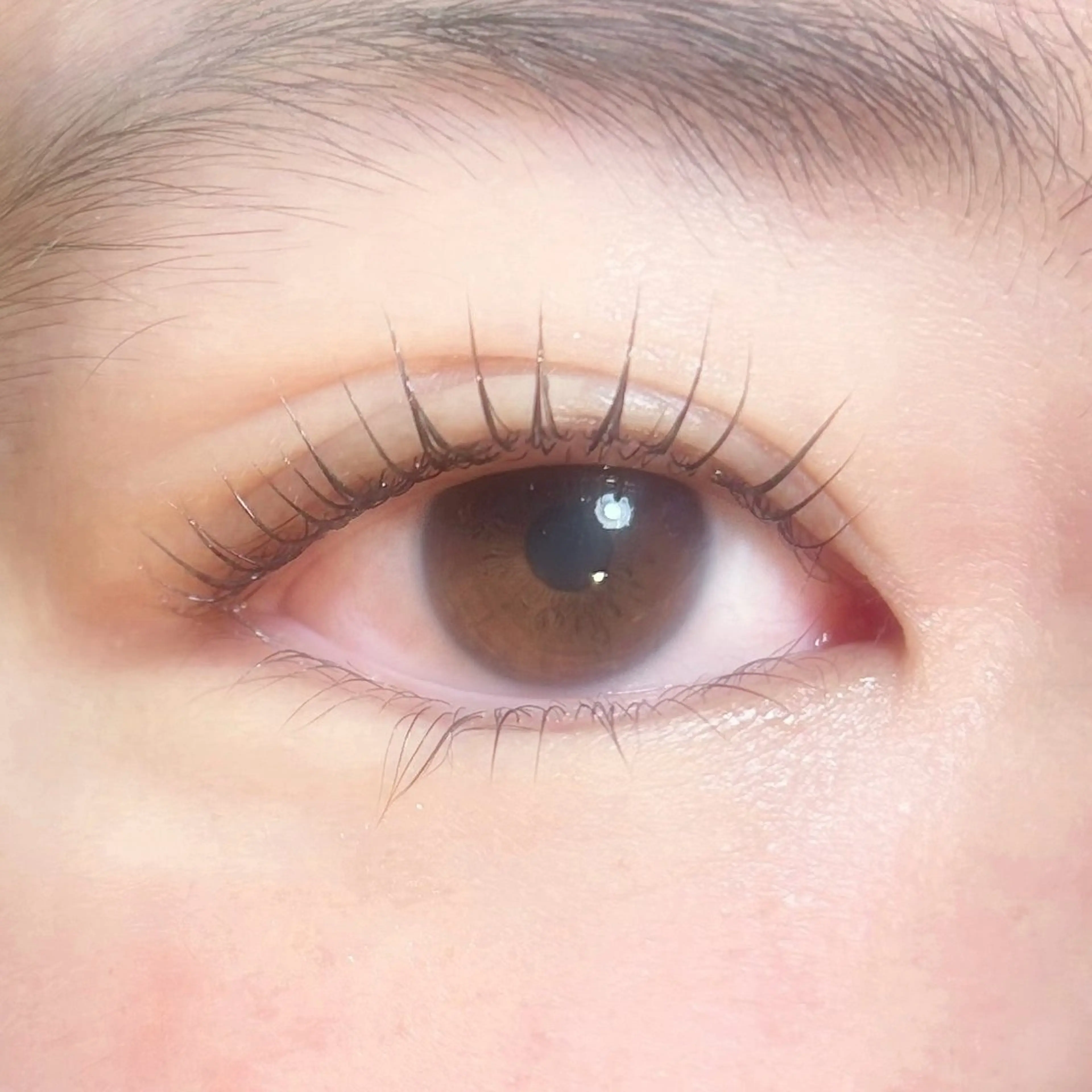 マツエク・マツパ PORTE269所属・☆ ☆のマツエク・マツパデザイン