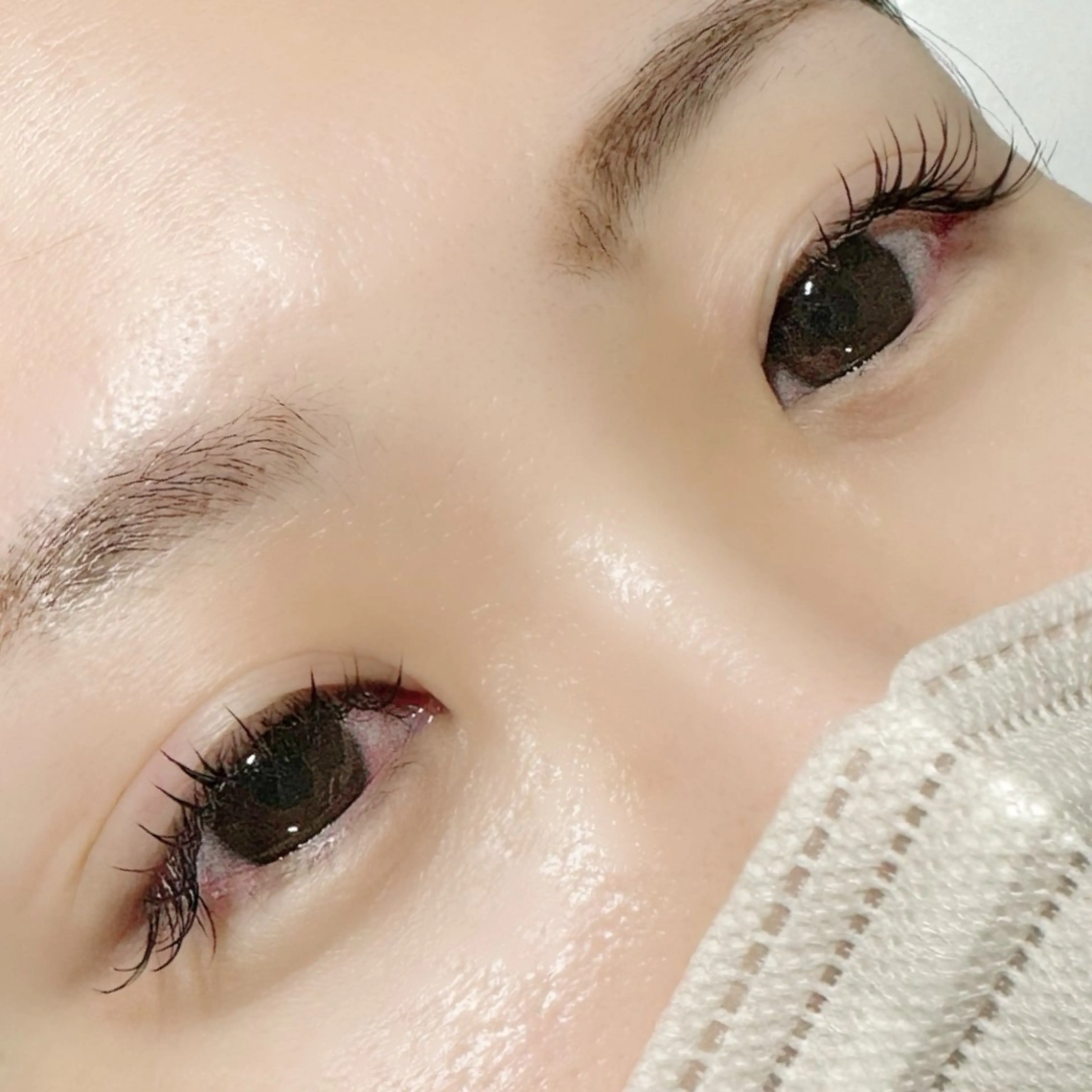 フラットラッシュ120本の写真