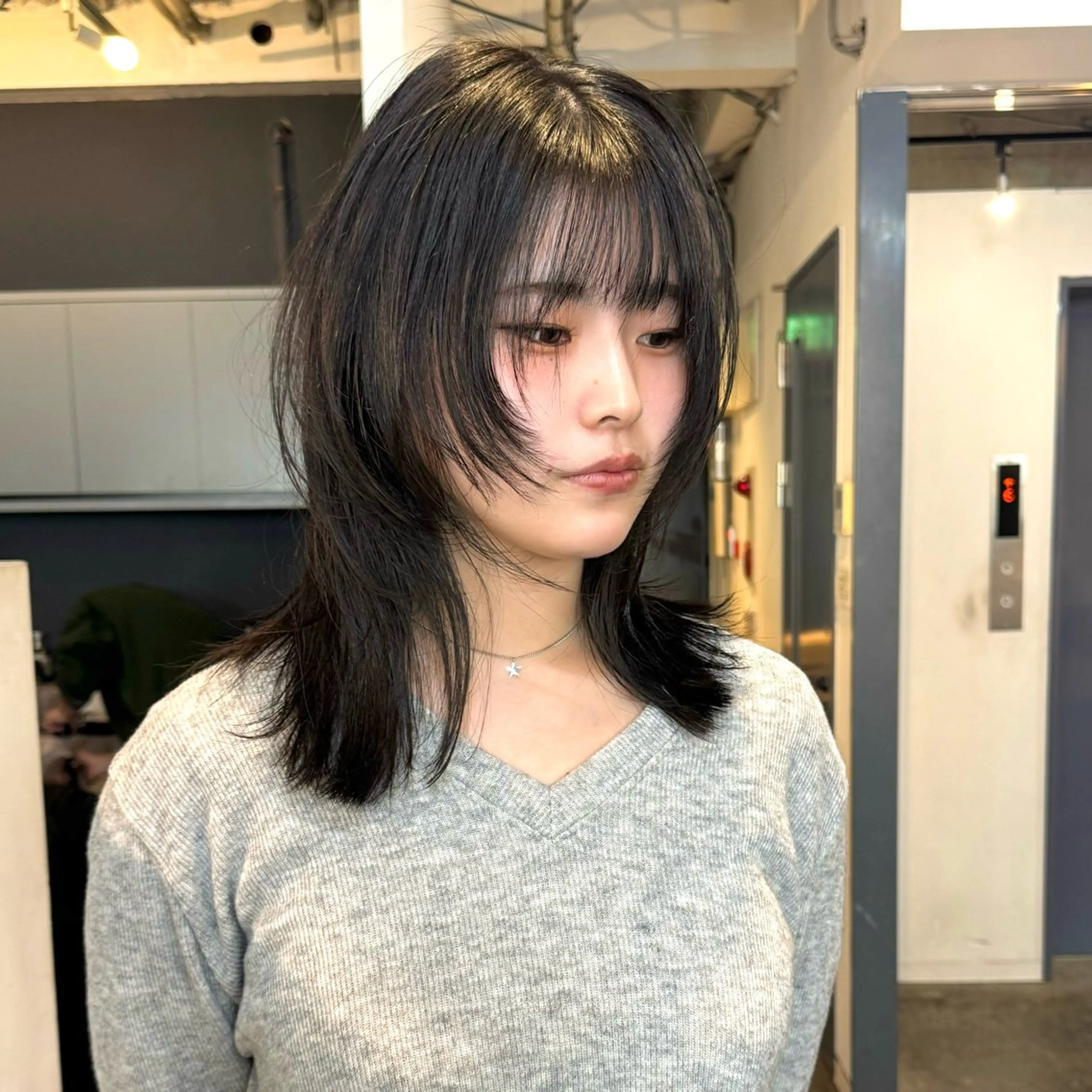 セミロング カラー カット ヘアカラー 🪡韓国レイヤー /髪質改善/菊池🪡のヘアスタイル