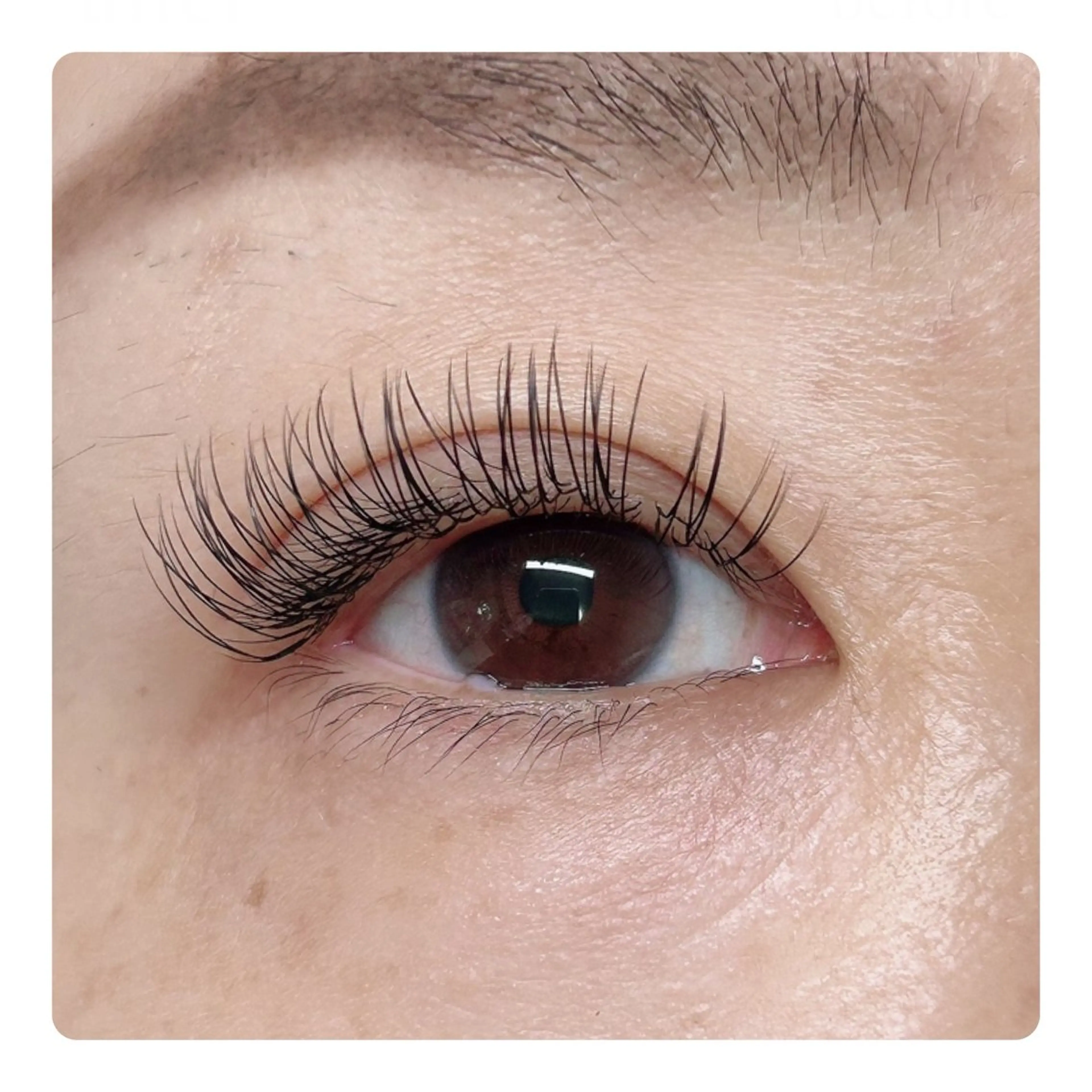 マツエク・マツパ Dカール マツエク ARIA所属・ARIAプライベート サロン五反田のマツエク・マツパデザイン