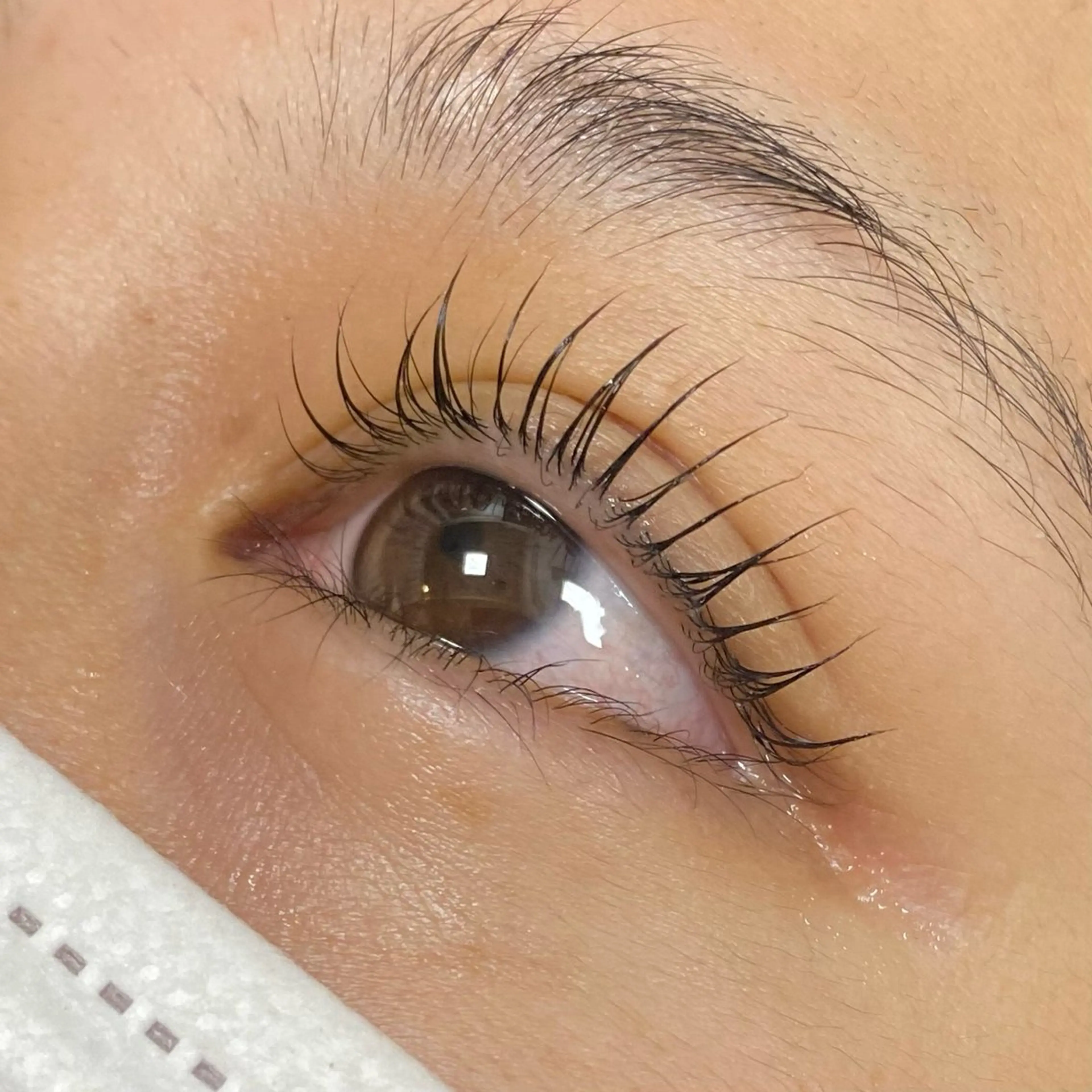 《新規》眉毛+まつ毛パーマ✨美眉アイブロウ+次世代まつ毛パーマラッシュリフト🐶の写真