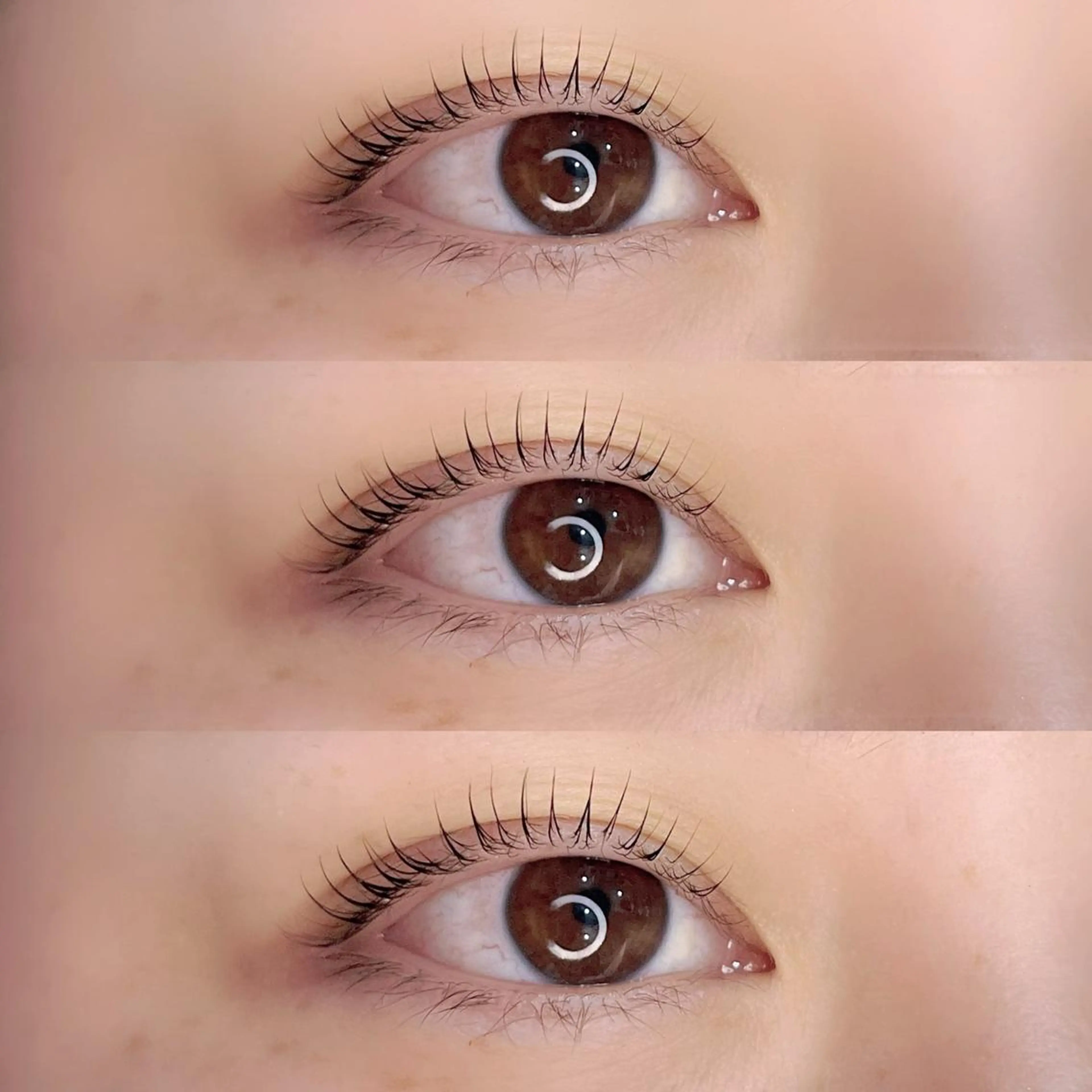 マツエク・マツパ Shain所属・Shain一之江 /ひかり🤍のマツエク・マツパデザイン