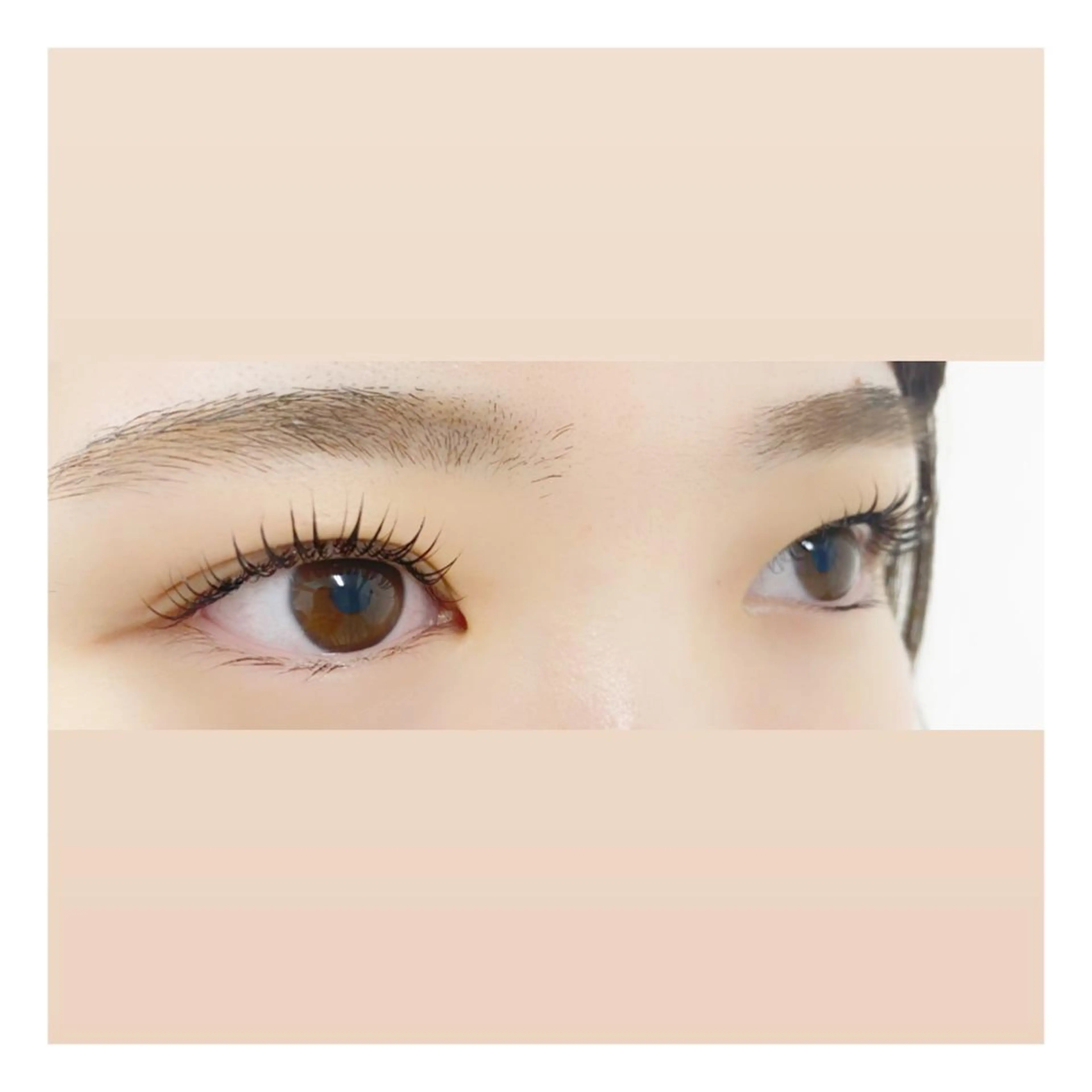 パーマ マツエク・マツパ フラットラッシュ ボリュームラッシュ マツパ MAHALO 𓆉の眉毛・アイブロウイメージ