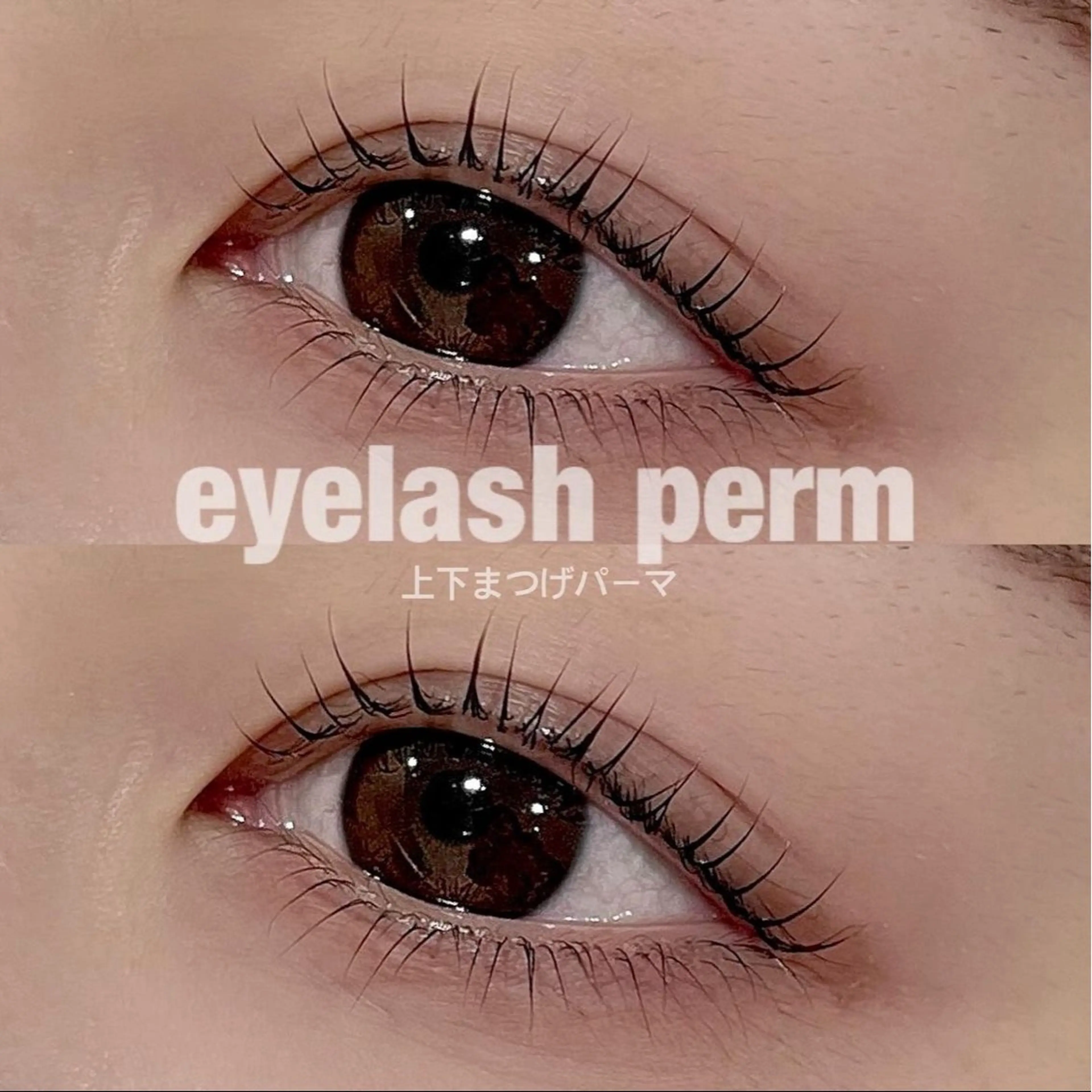上下まつげパーマ〈コーティング付〉¥6500＋指名料¥300 ※オフ不可※の写真