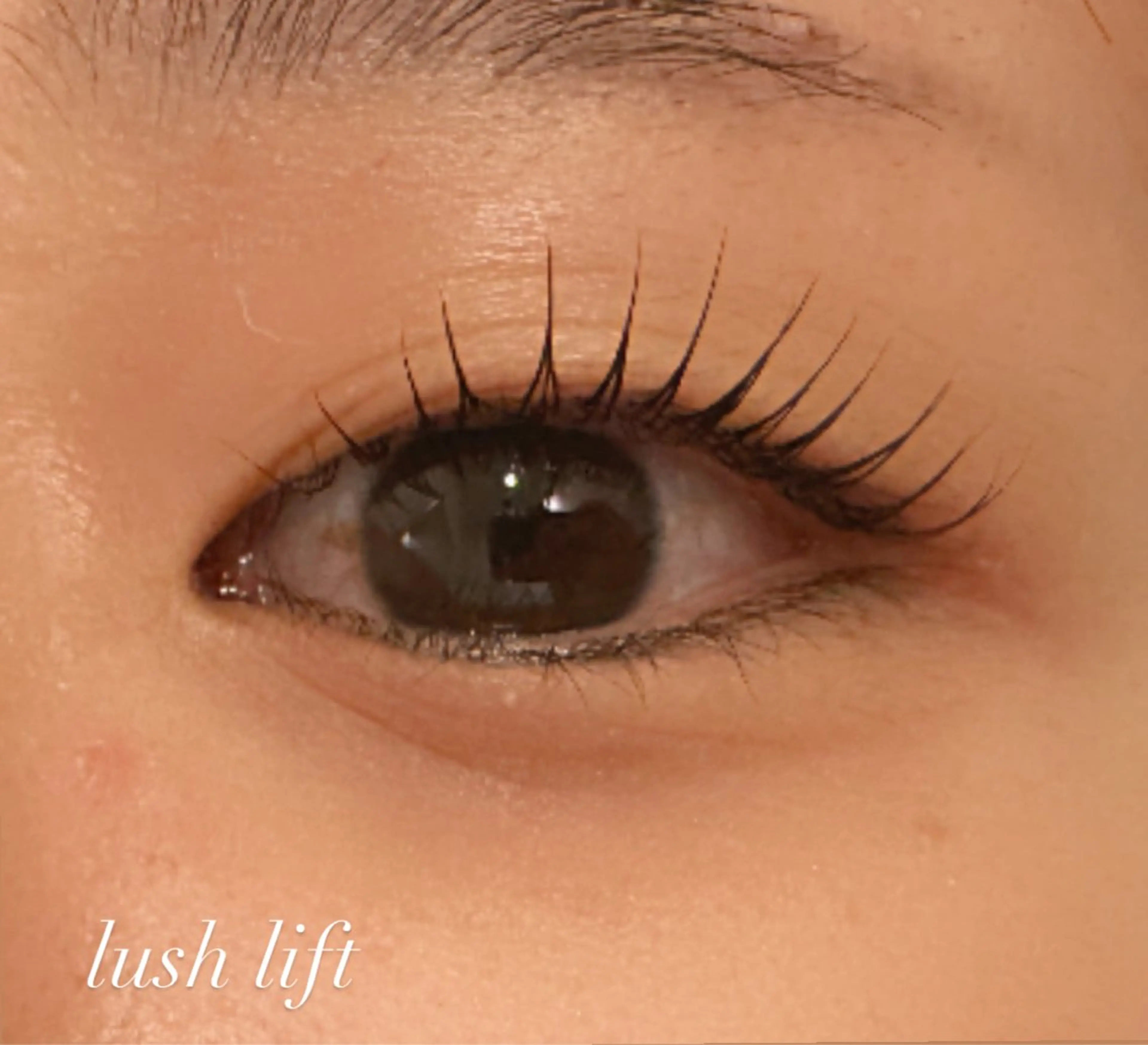 🌟1番人気メニュー8韓国風束感まつげパーマ『コーティング付き』の写真