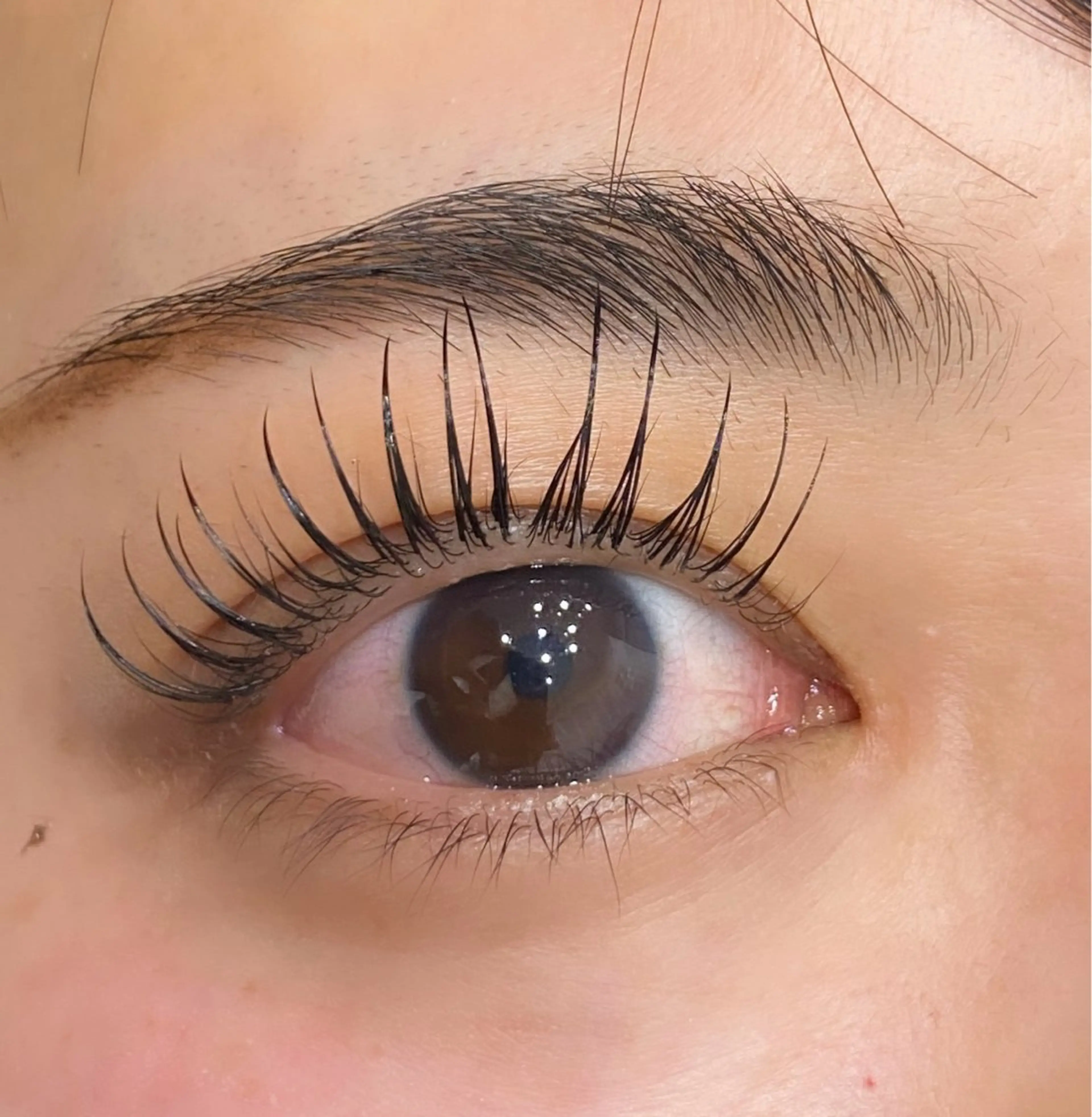 マツエク・マツパ エムズビューティサロン経堂店所属・M's Beauty Salon 経堂店のマツエク・マツパデザイン