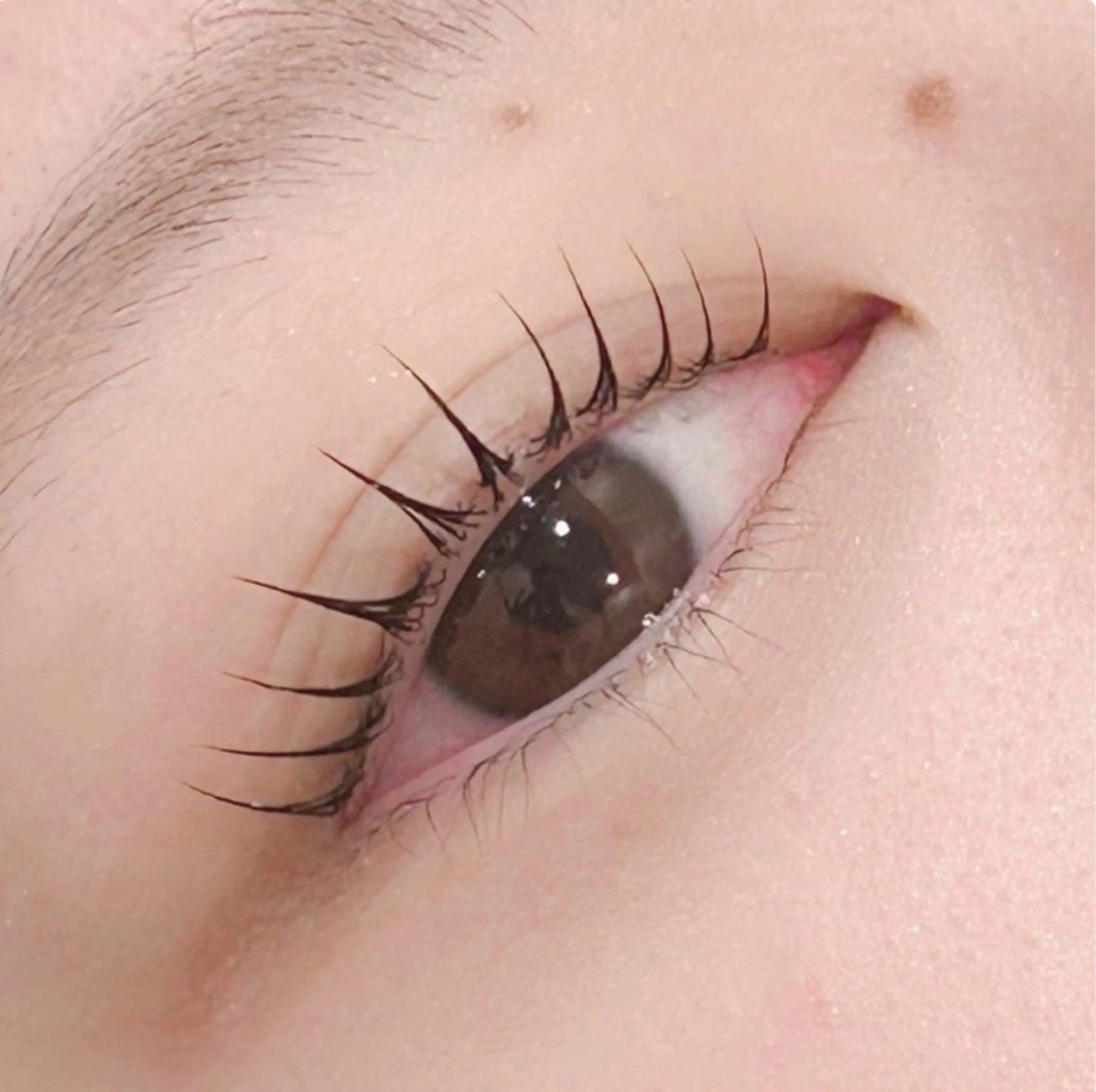 マツエク・マツパ マツパ pono大宮東口店 HARUKAのマツエク・マツパデザイン