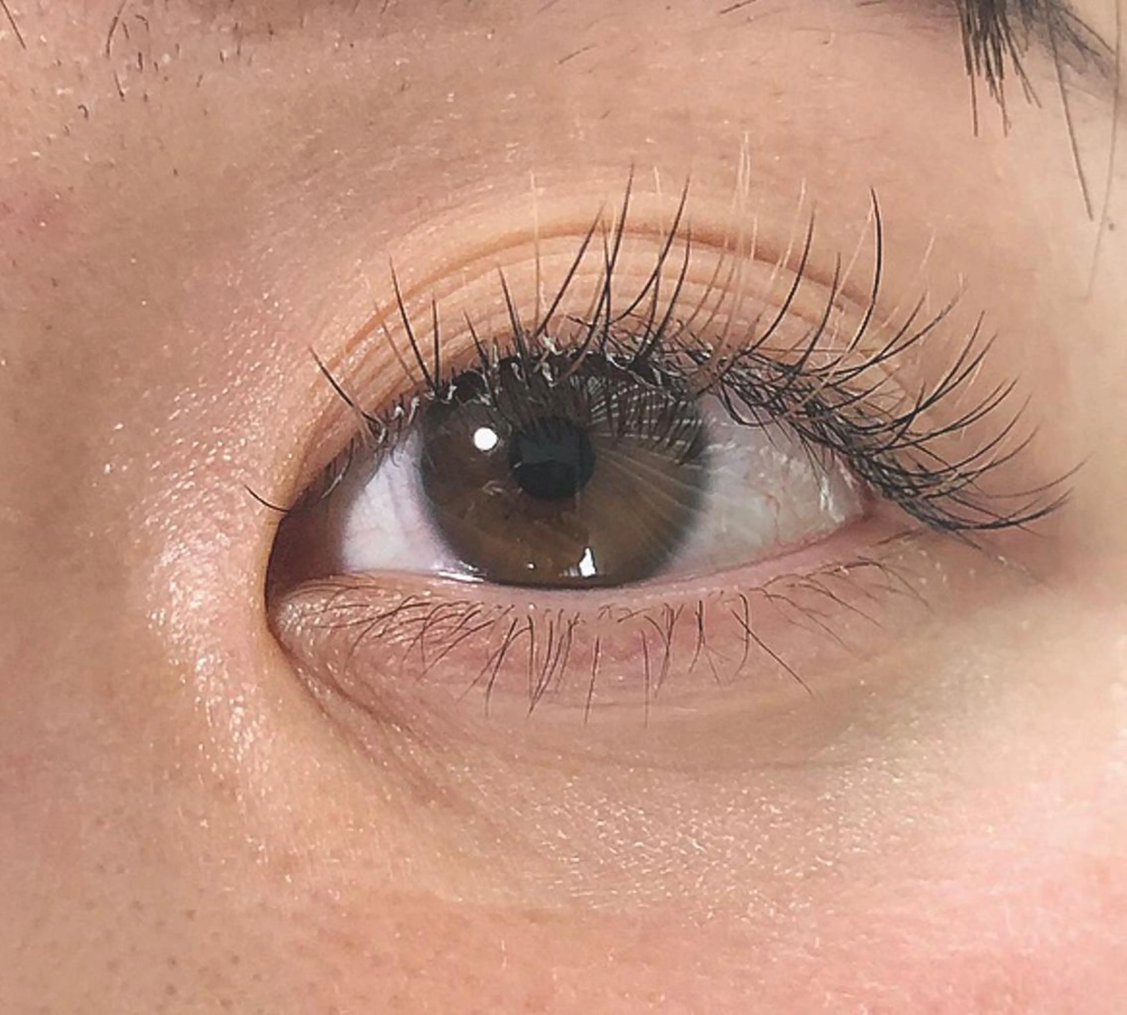 カラー ヘアアレンジ マツエク・マツパ ウプエステティック所属・韓国肌管理 ウプエステティックのエステ・リラクイメージ