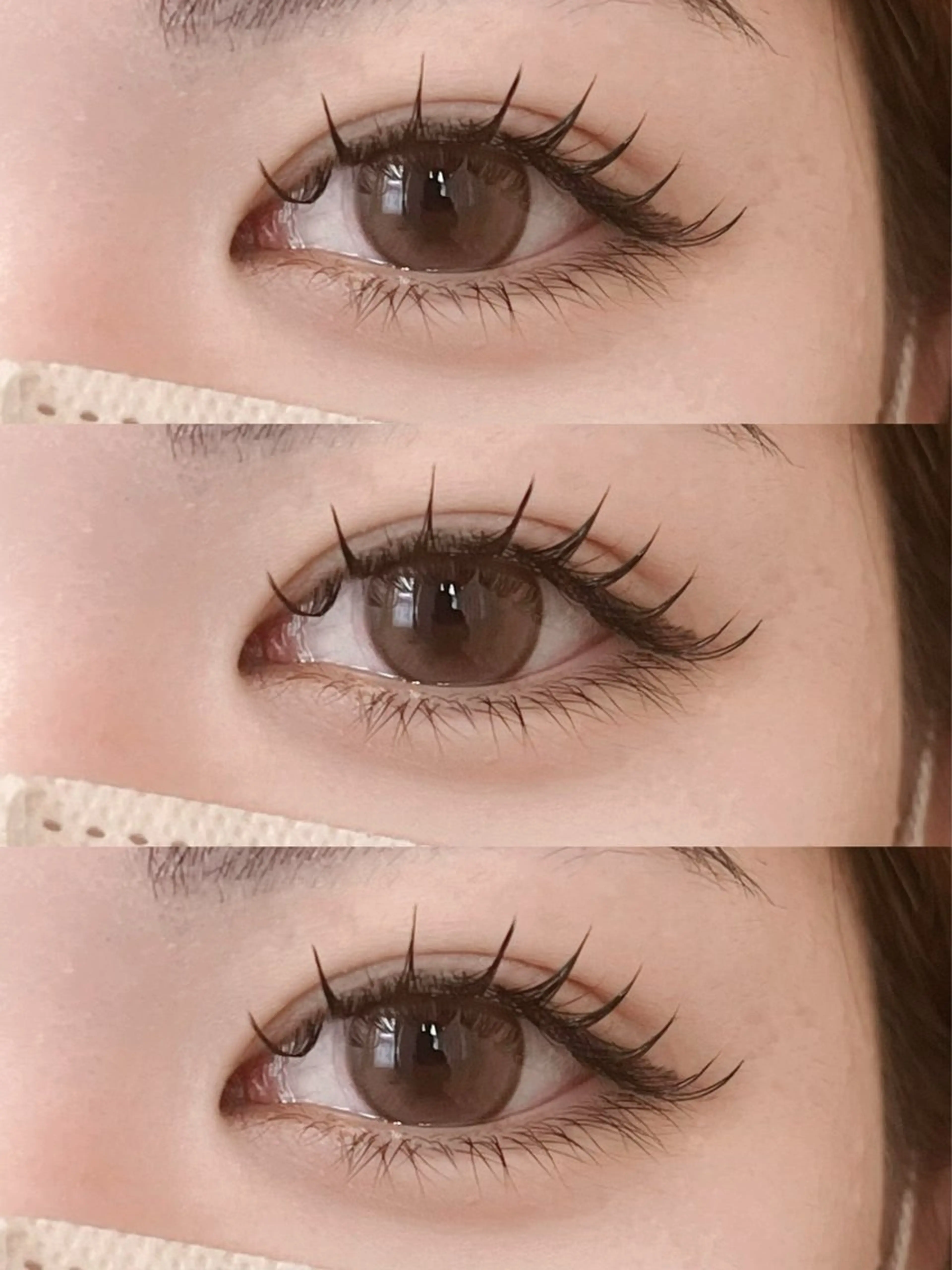 フラットラッシュ140本の写真