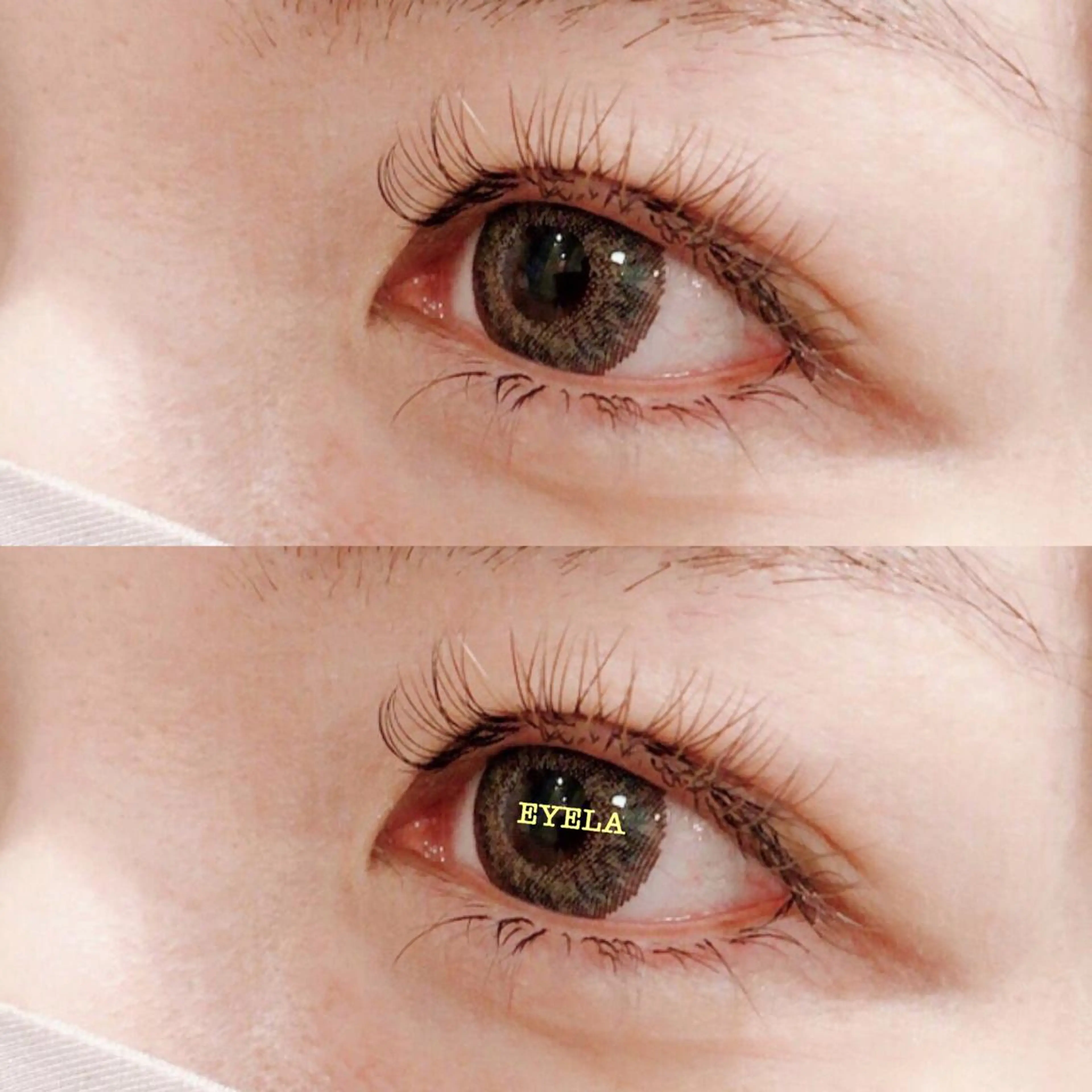 マツエク・マツパ カラーマツエク フラットラッシュ 渡部 範子のマツエク・マツパデザイン