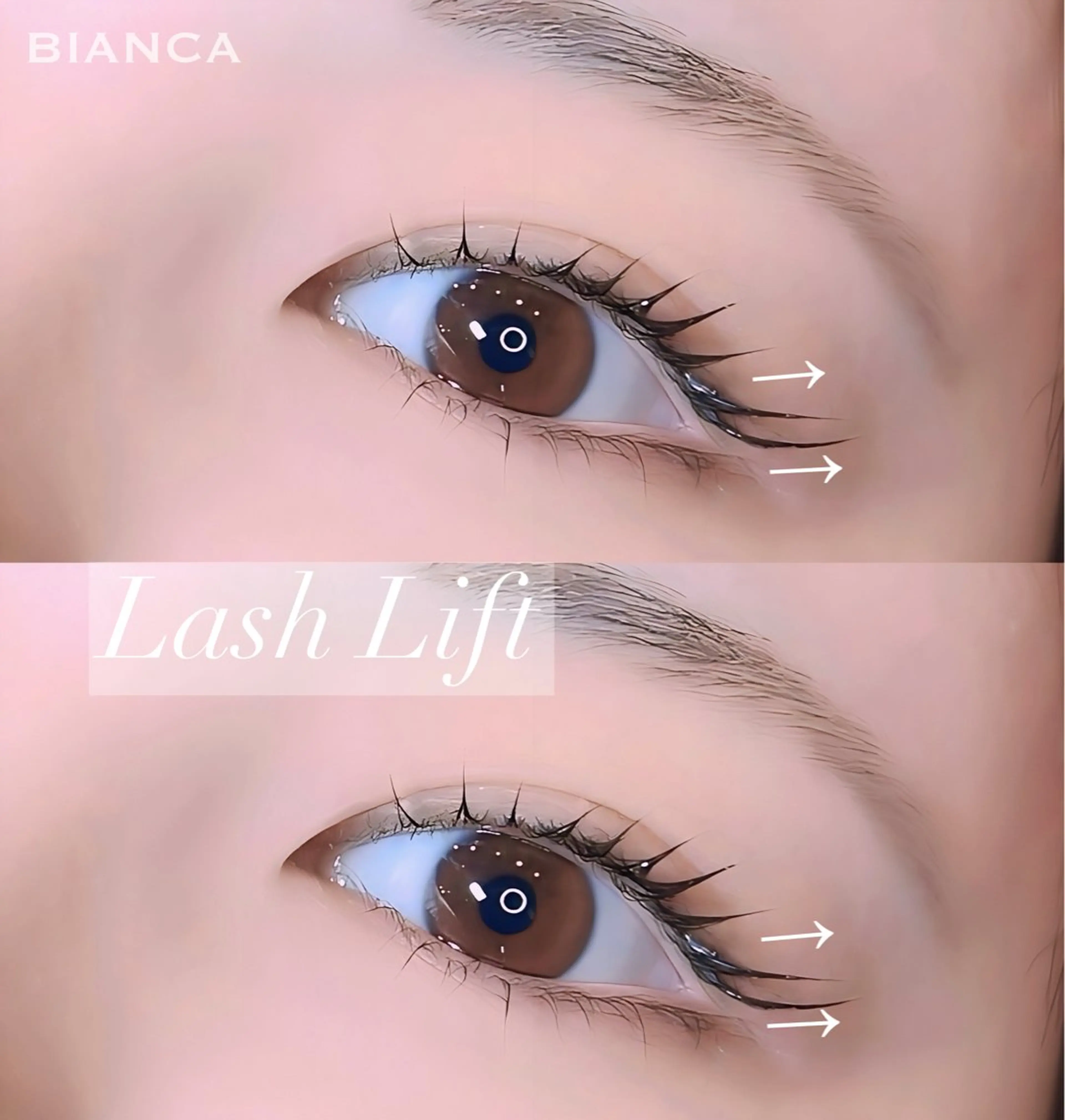 マツエク・マツパ 下まつげエクステ BIANCA/上大岡 /YUKARI/束感のマツエク・マツパデザイン