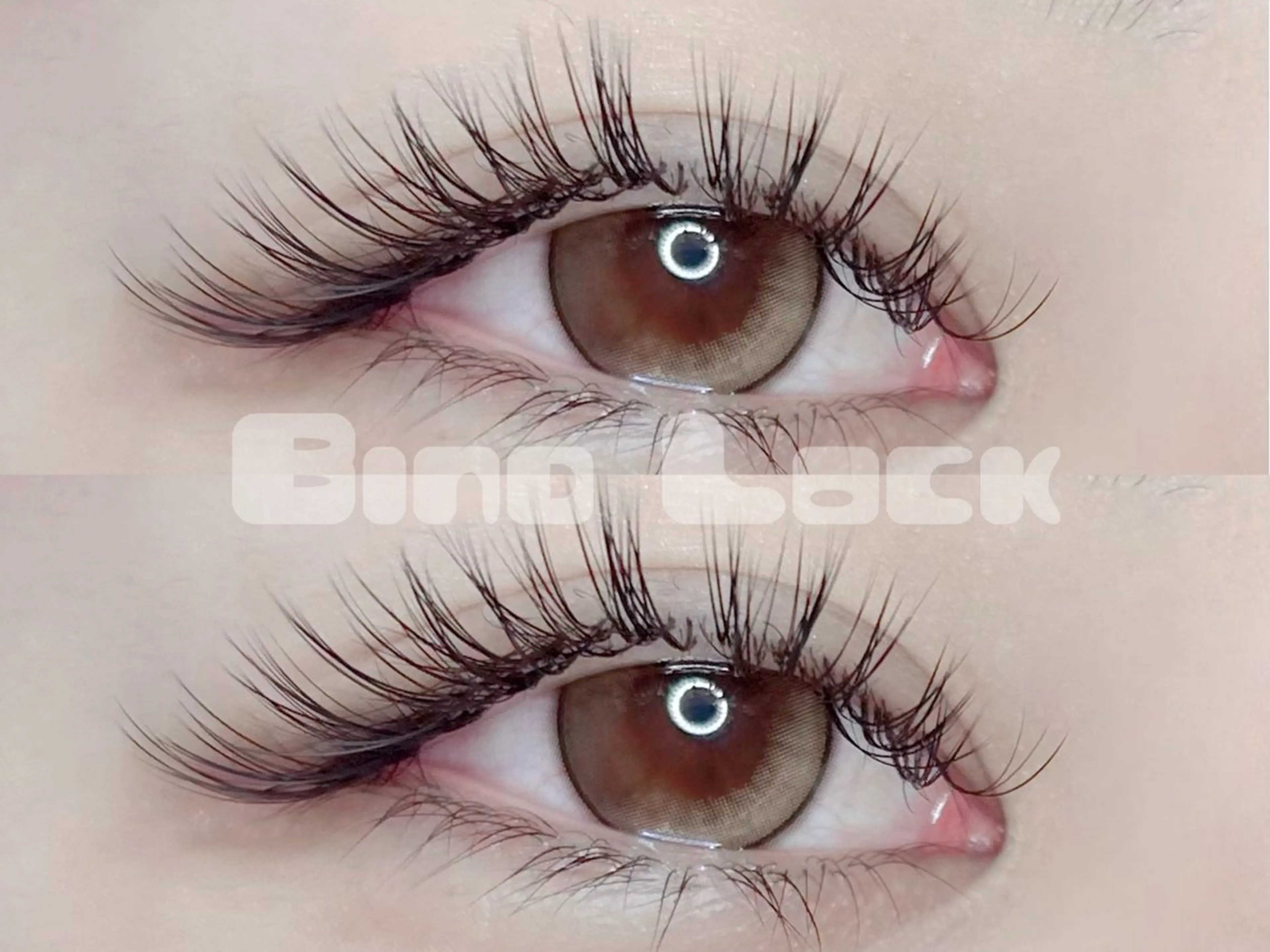 【ミニモ学割】💜トレンド束感💜Bind Lock60束（コーティング付き）の写真